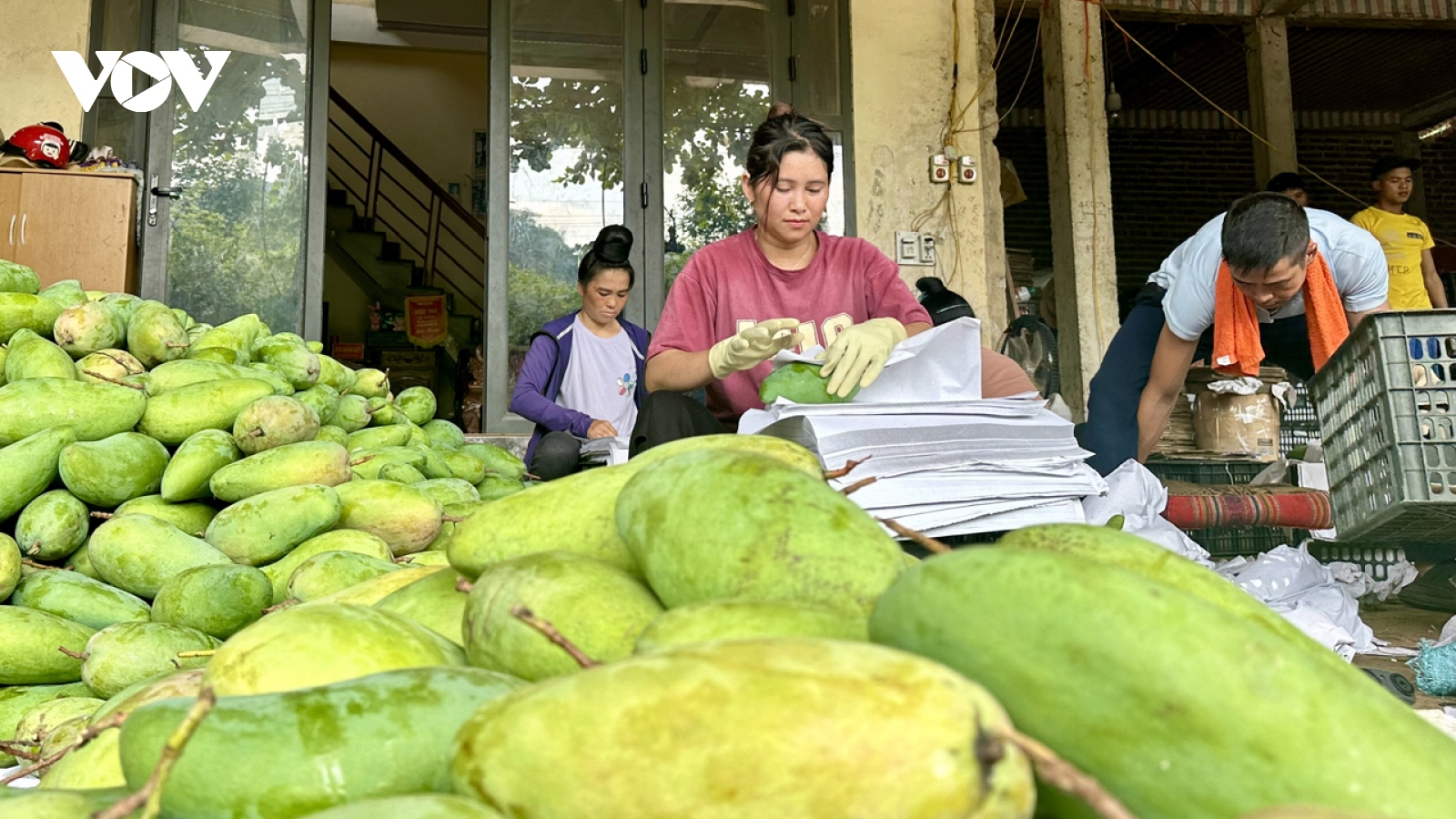 Sơn La thu hút đầu tư phát triển nông nghiệp xanh, bền vững