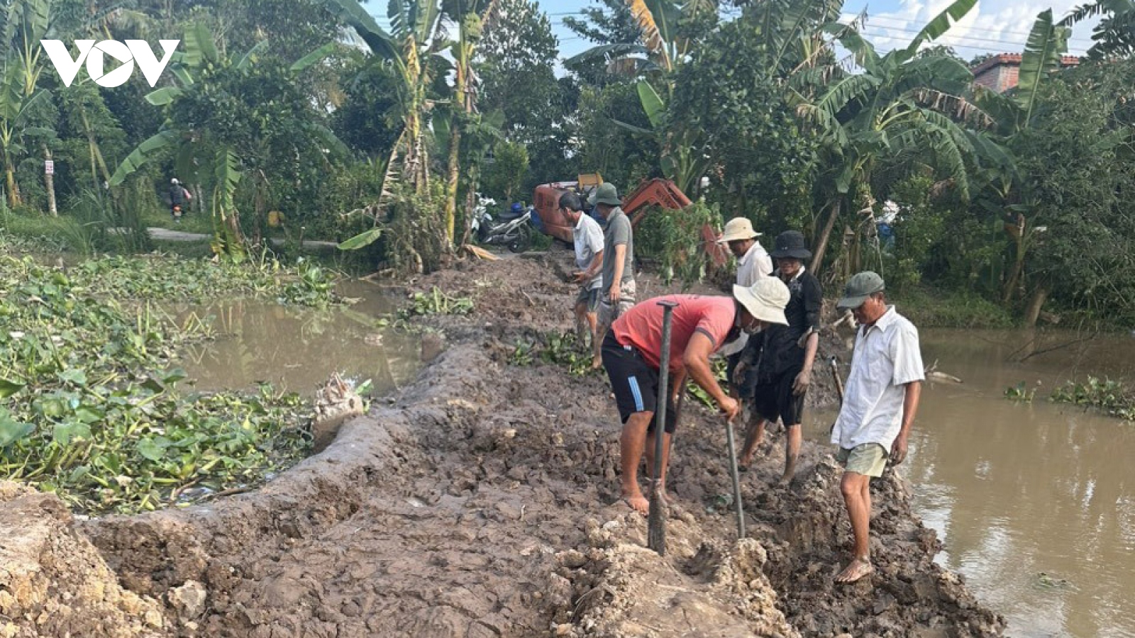 Khẩn trương khắc phục các điểm sạt lở ven bờ sông tại huyện Chợ Lách