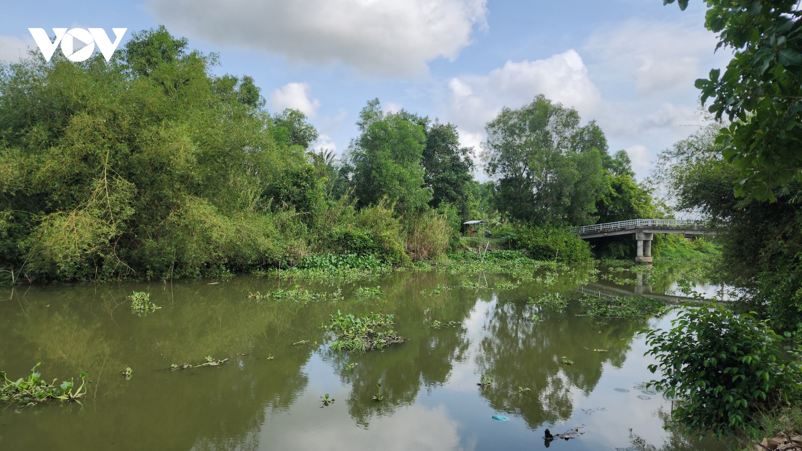 Kênh mương “vùng ngọt” ở Tiền Giang bỗng dưng bị nhiễm mặn?