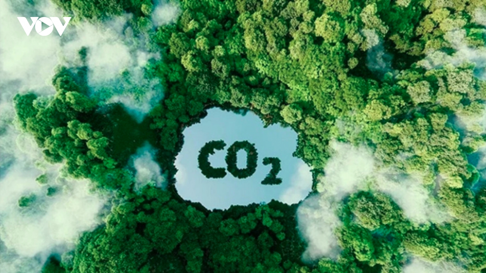 Gia nhập thị trường tín chỉ carbon: Vào sân chơi lớn, đừng dùng tiểu xảo