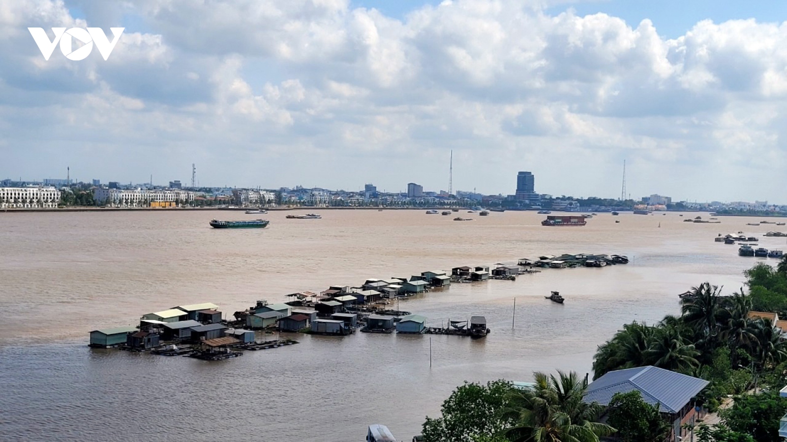 Cá nuôi bè giá cao, ngư dân Tiền Giang vẫn ngại tái đàn vì giá thức ăn tăng vọt