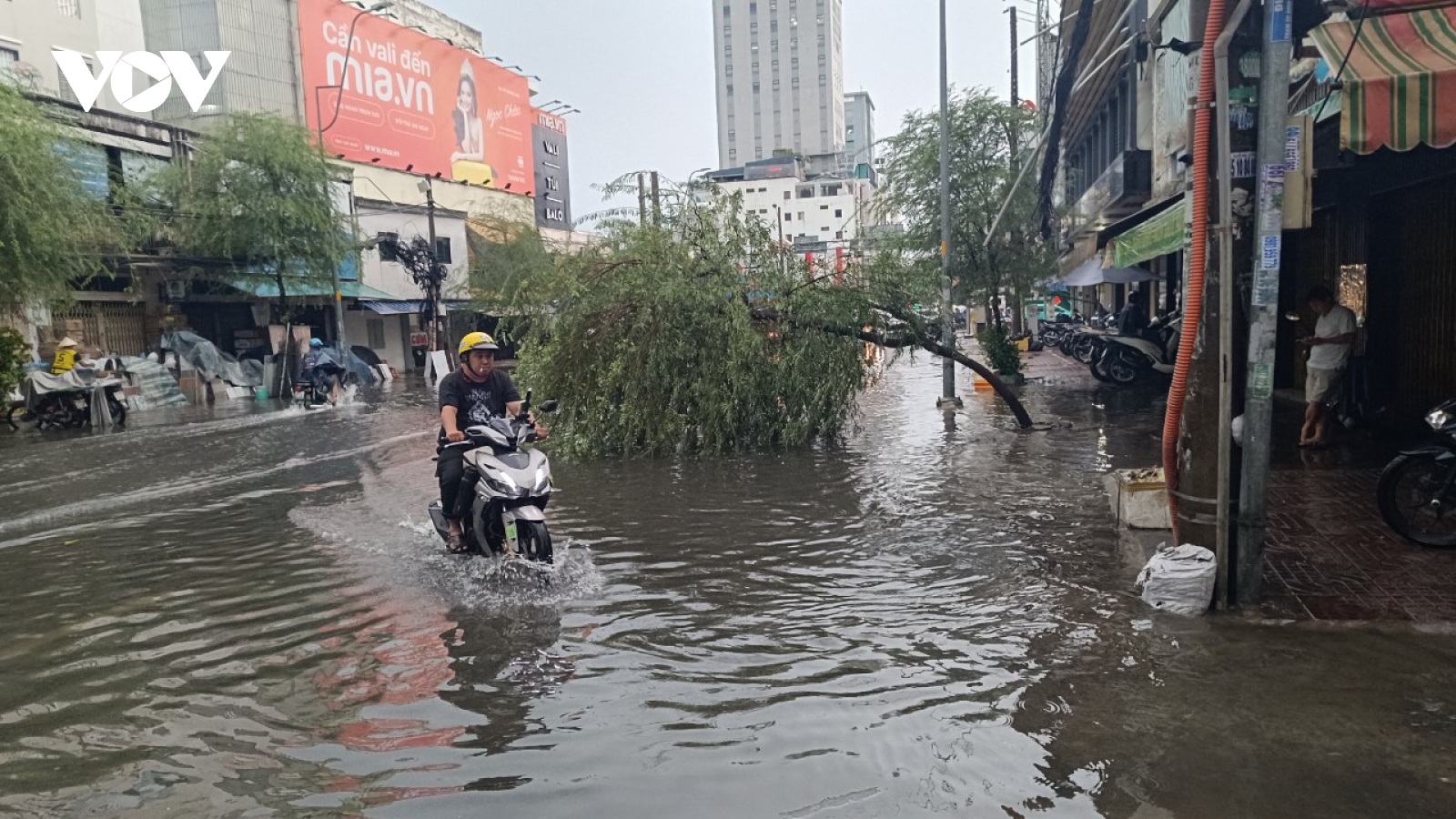 Hình ảnh mưa lớn kèm mưa đá, cây xanh gãy đổ đè xe cộ tại TP.HCM