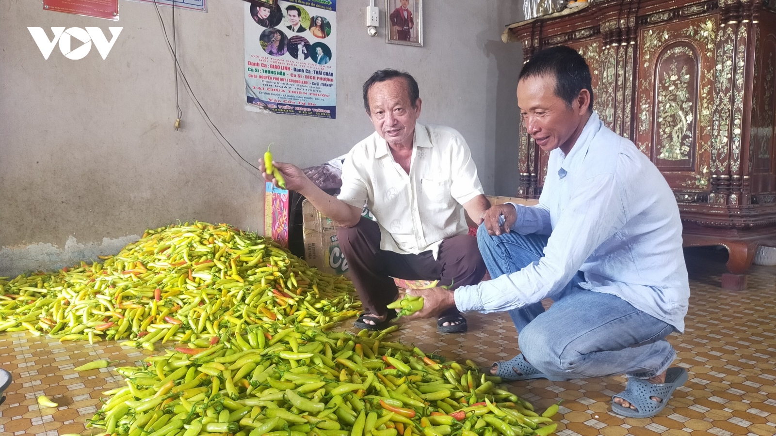 Hoa màu giá cao, nông dân phấn khởi lãi lớn