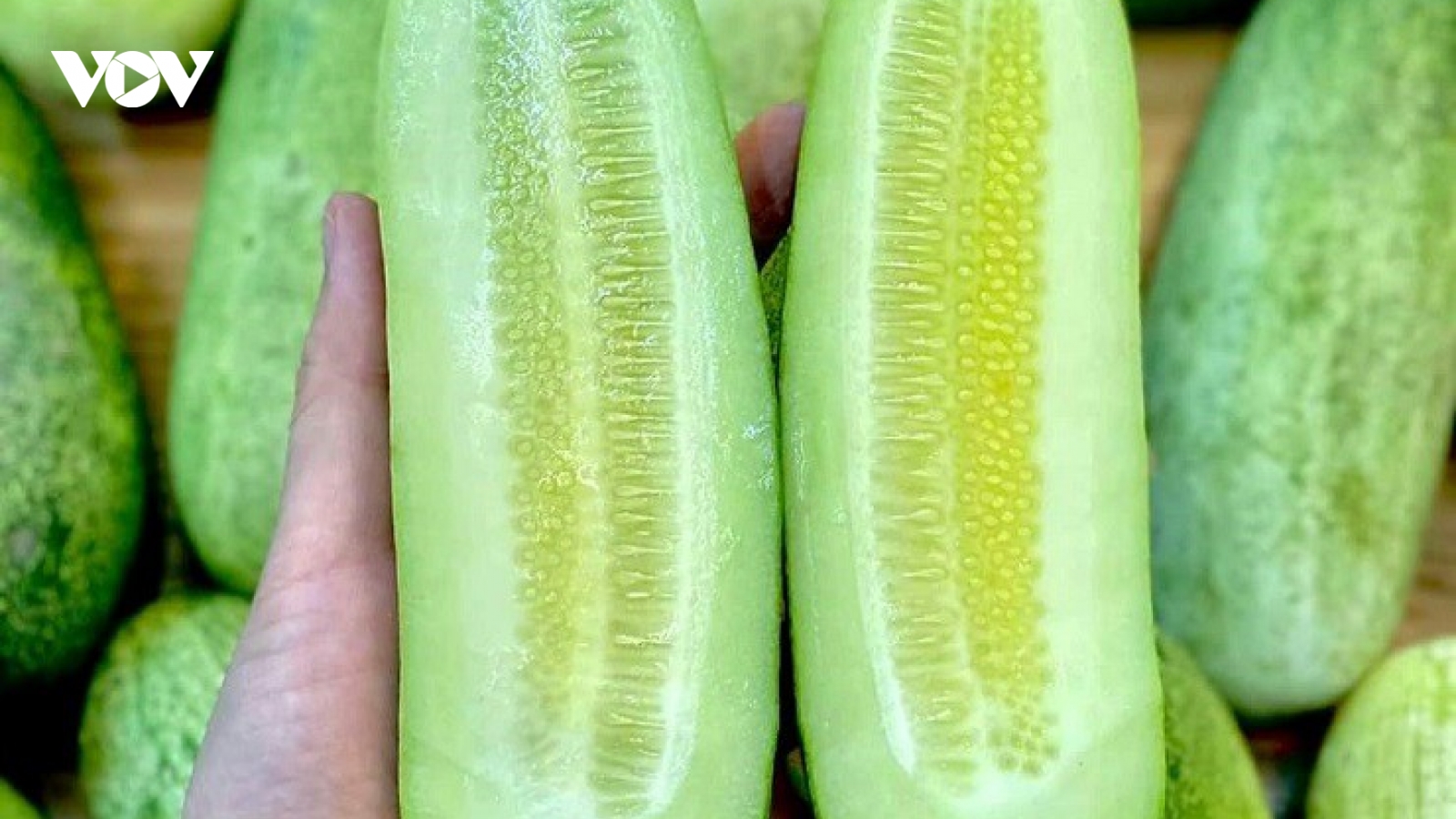 Loại quả chẳng ai thèm để ý nay thành đặc sản, dân thành phố "săn lùng"