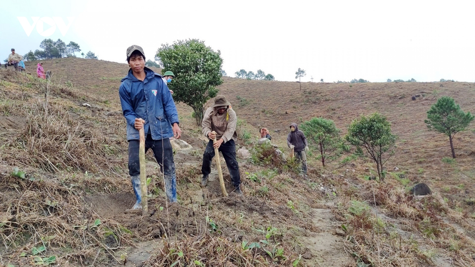 Gia Lai mới trồng được 192,6ha trong kế hoạch trồng mới 10.000 ha rừng