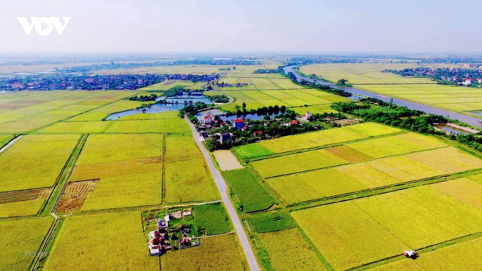 Đề xuất tiếp tục miễn thuế sử dụng đất nông nghiệp đến hết năm 2030