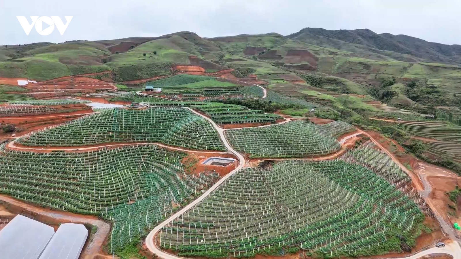 Đánh thức tiềm năng nông nghiệp trên cao nguyên Si Pa Phìn