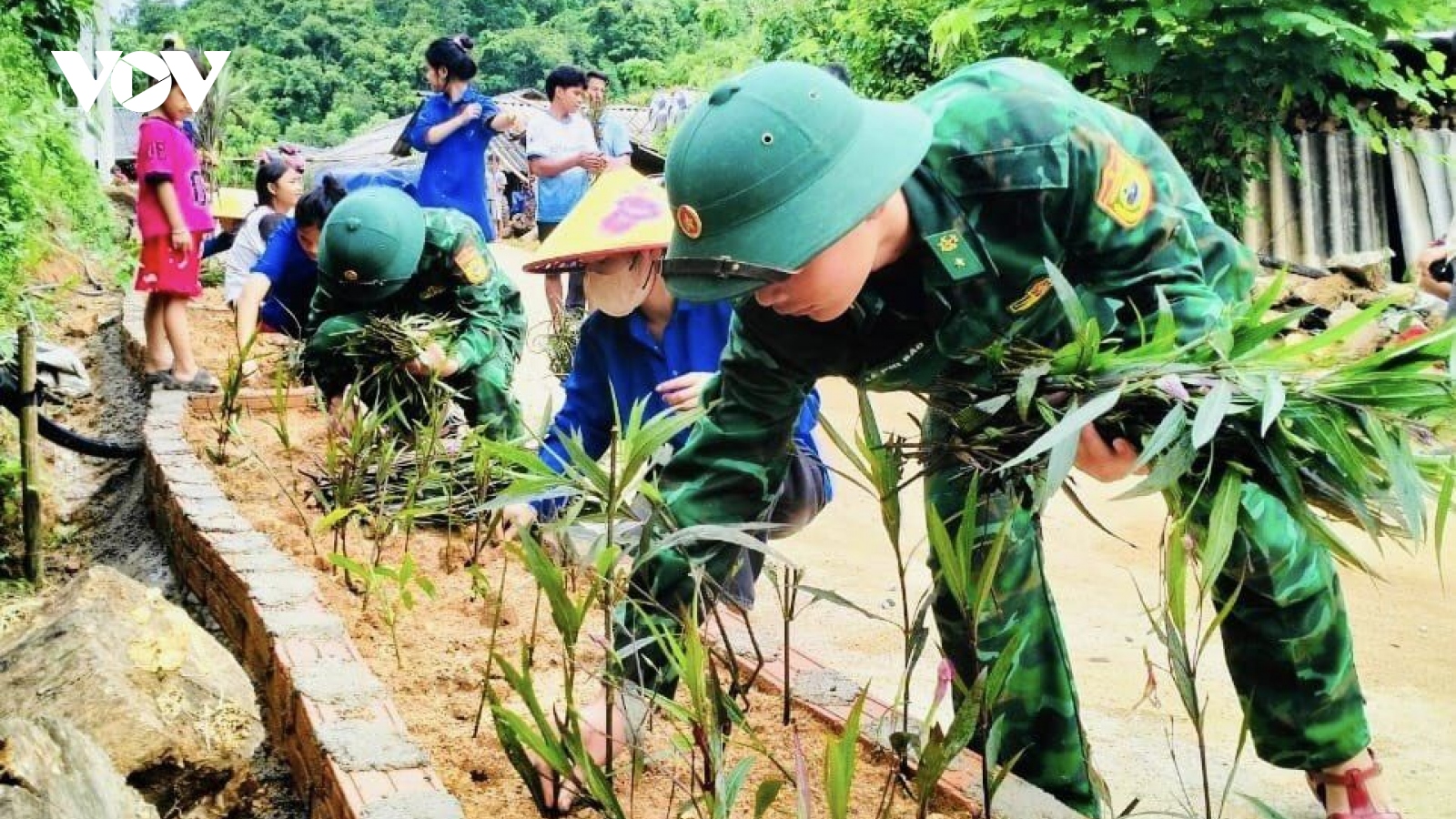 Màu xanh yên bình giữa đại ngàn xứ Thanh