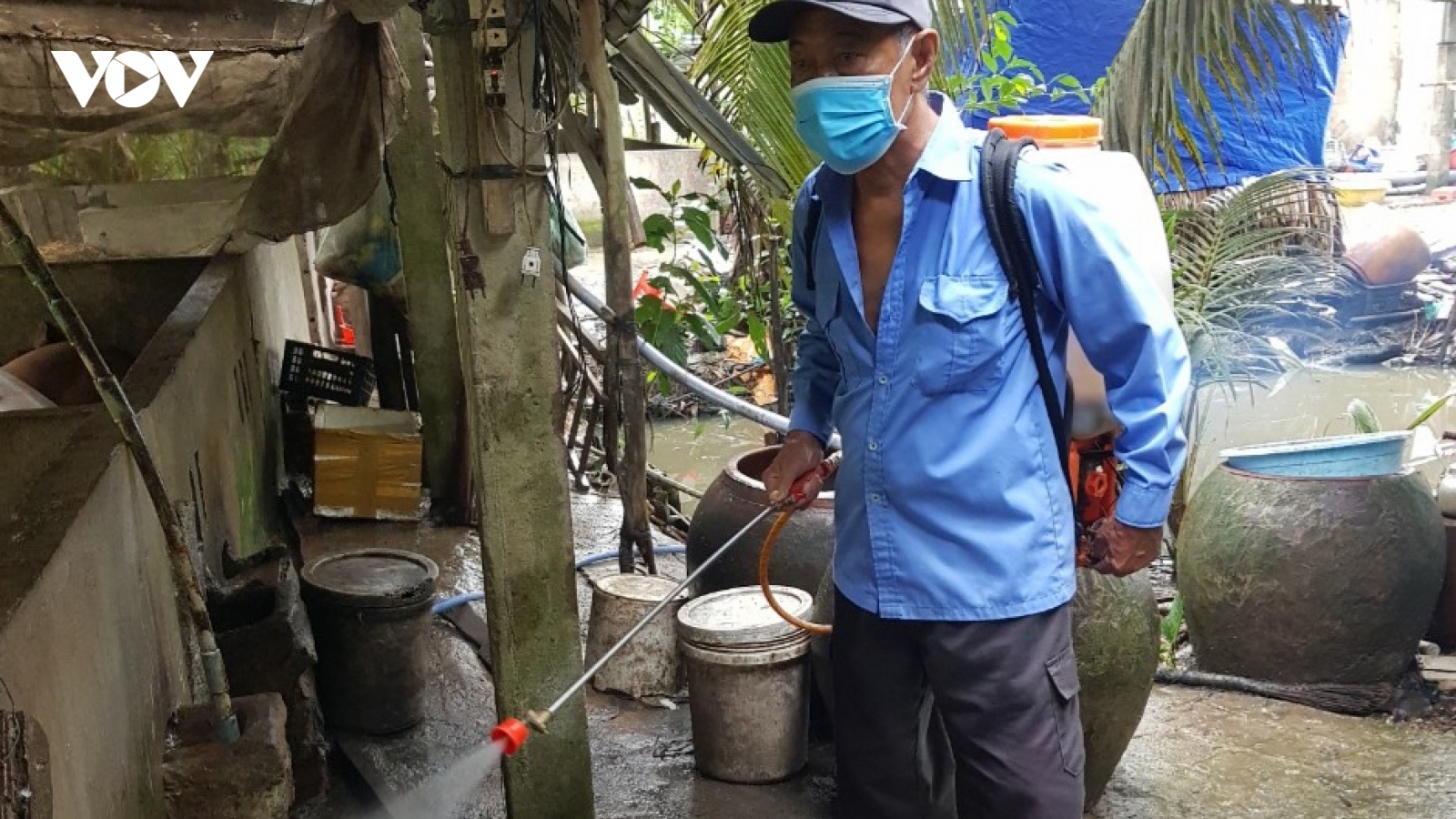 Hậu Giang tăng cường các biện pháp phòng chống bệnh dịch tả lợn châu Phi