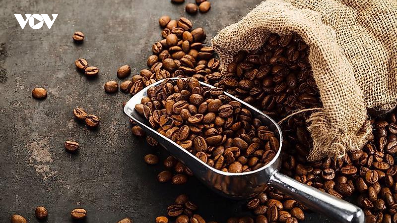 Giá cà phê hôm nay 11/2: Giá cà phê Robusta và Arabia đồng loạt tăng