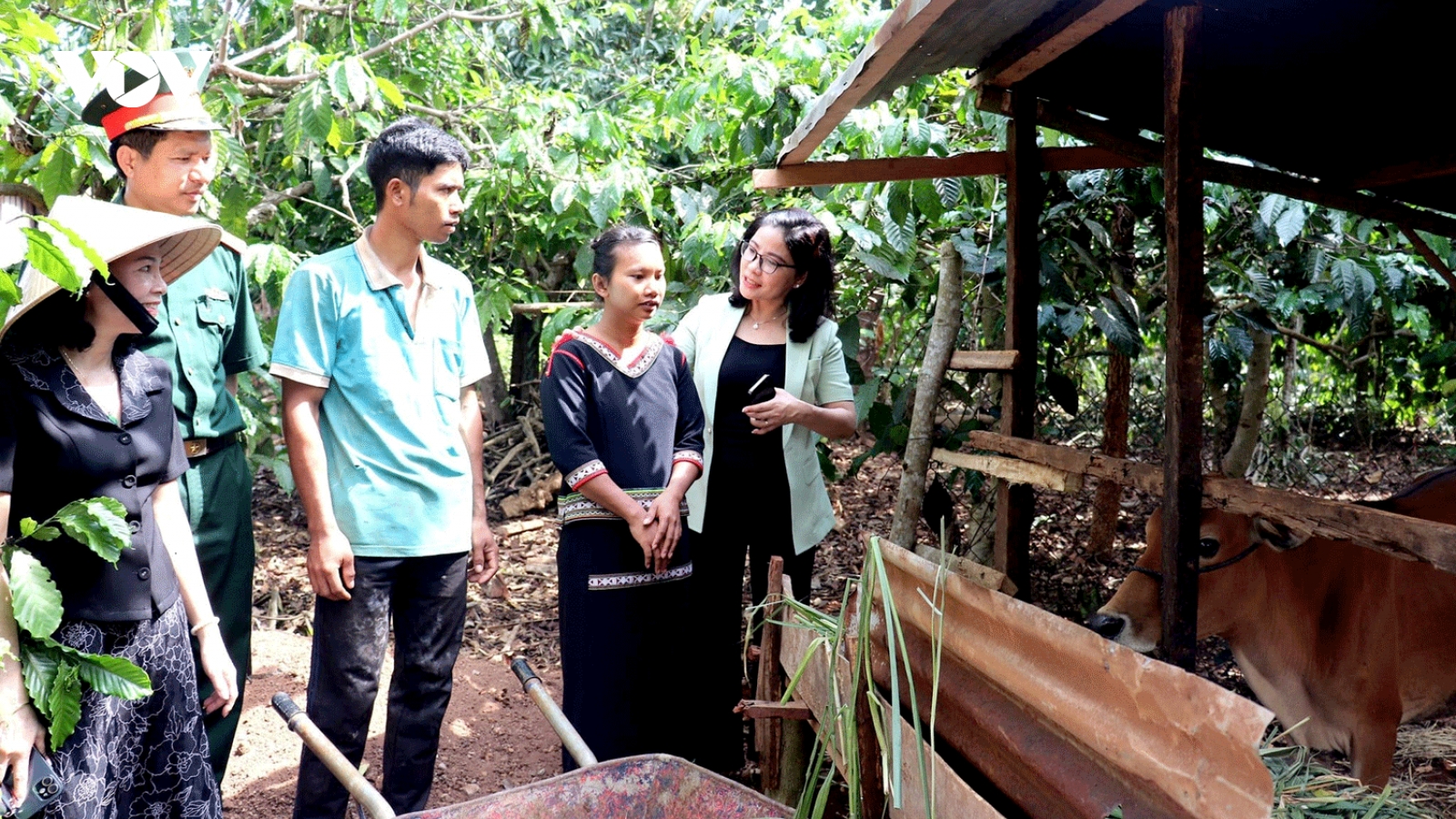 Tích cực chăm lo đời sống người dân vùng dân tộc thiểu số ở Buôn Hồ (Đắk Lắk)