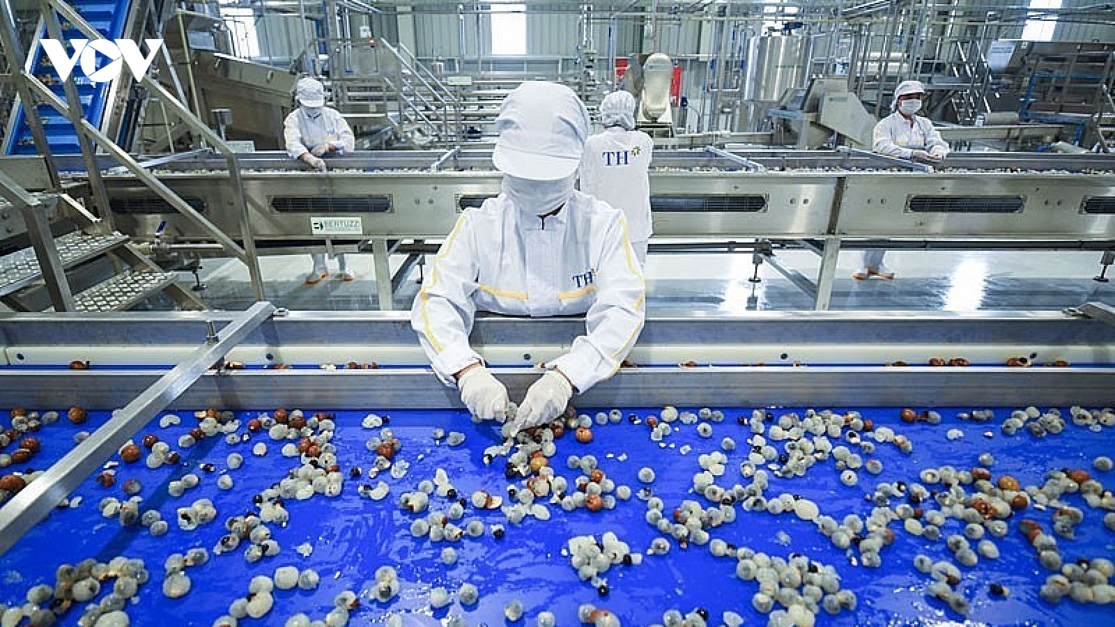 Sơn La thu hút đầu tư, đẩy mạnh công nghiệp chế biến nông sản
