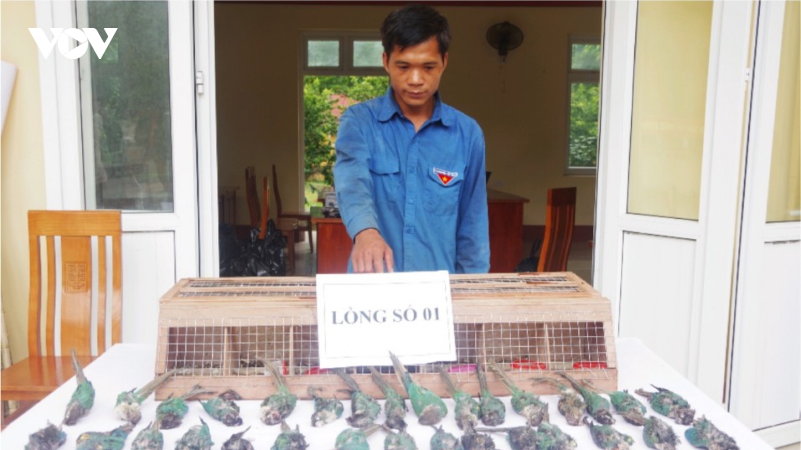 5 đối tượng vận chuyển động vật hoang dã qua biên giới