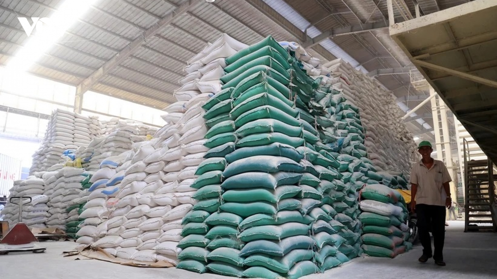 Giá gạo Việt Nam tiếp đà tăng mạnh, vươn lên mức đắt đỏ nhất thế giới