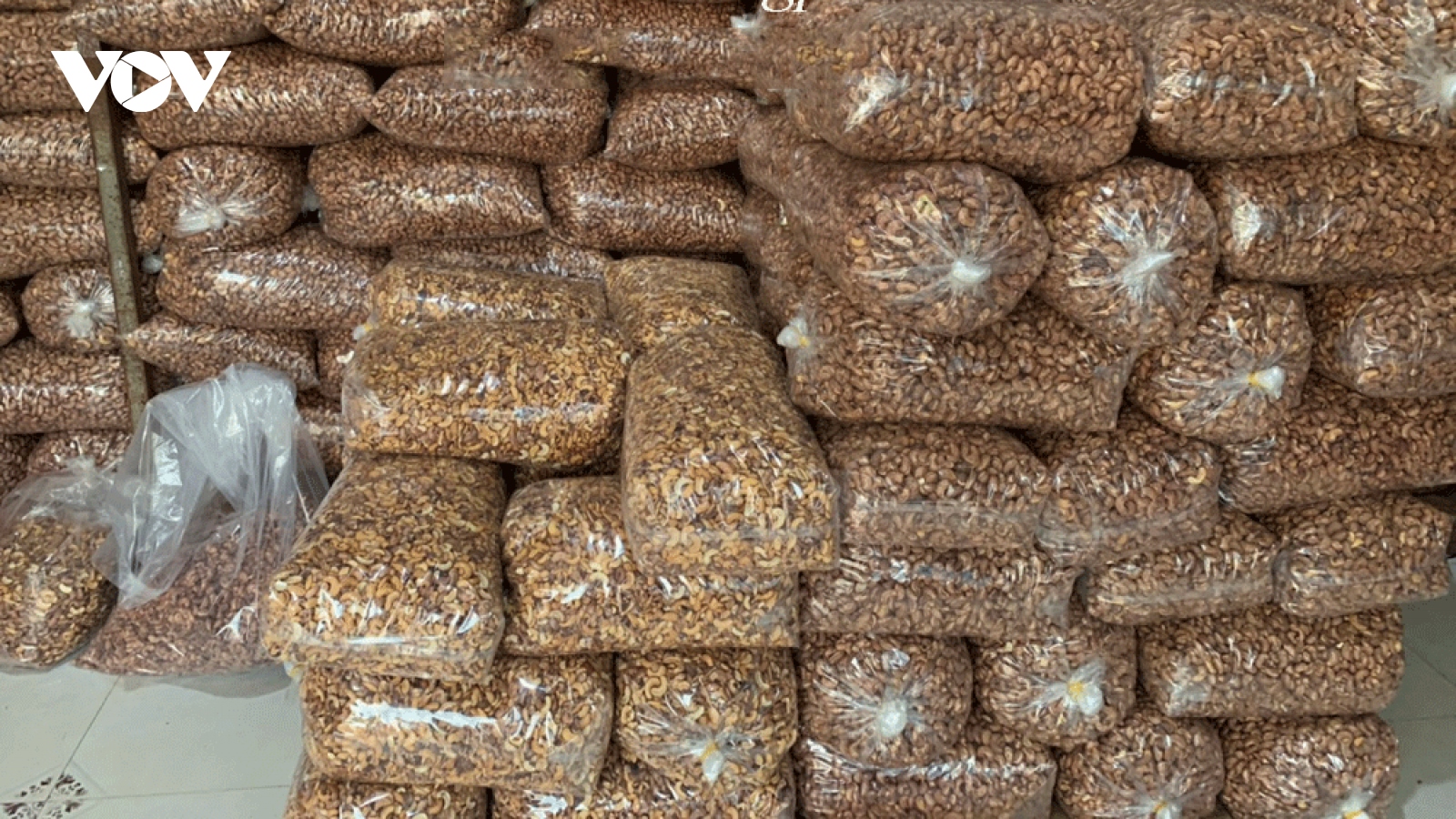 Hạt điều Bình Phước giả mạo tràn lan trên thị trường