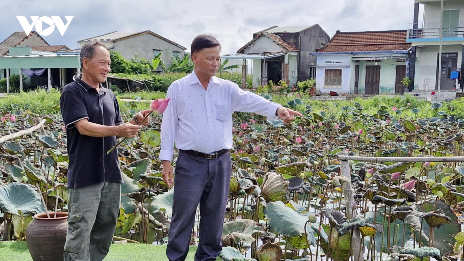 Quảng Nam thúc đẩy liên kết sản xuất và tiêu thụ sản phẩm nông nghiệp