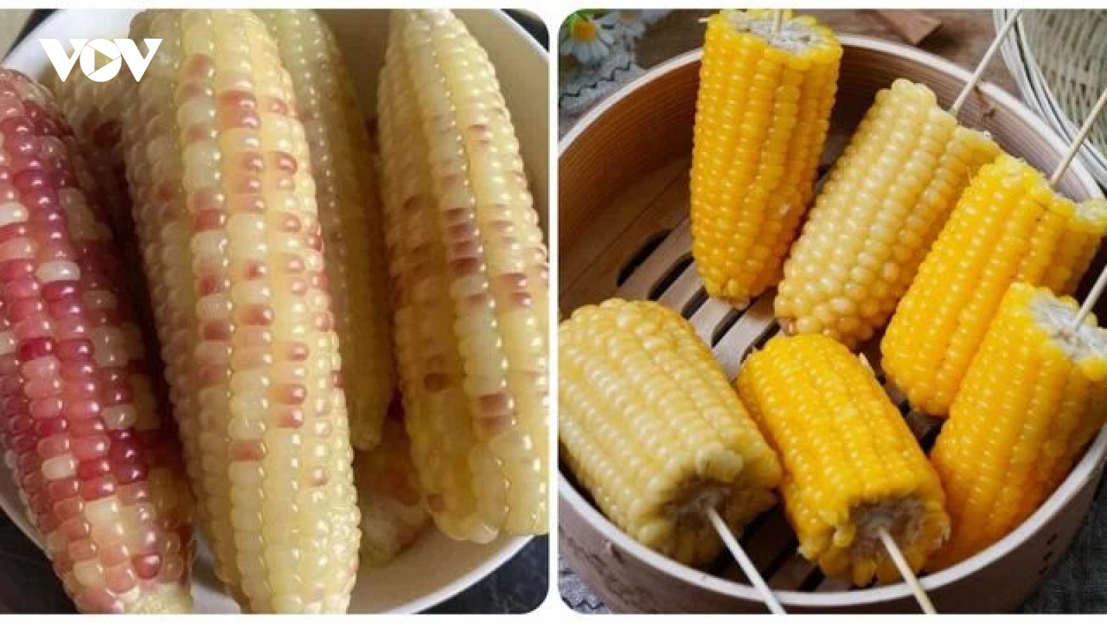 Có nên ăn ngô luộc vào bữa sáng?