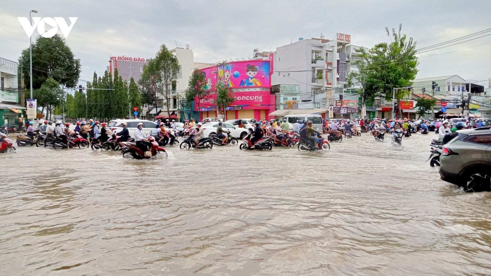 Cần Thơ tìm cách phát huy lợi thế sông, rạch để phát triển kinh tế