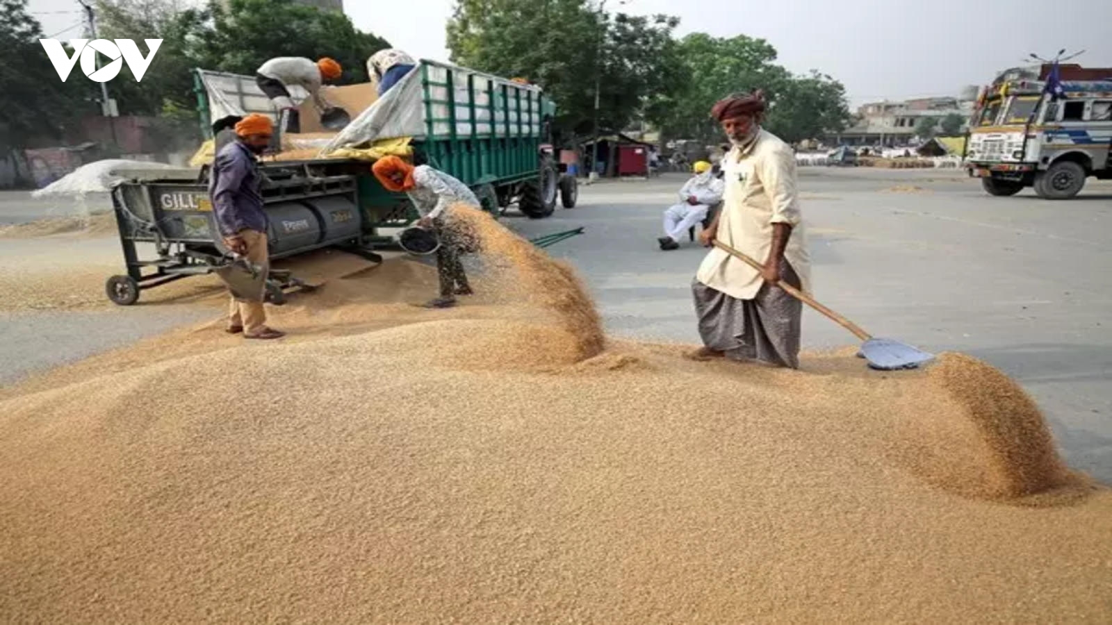 Pakistan cấm nhập khẩu lúa mì, cấm xuất khẩu bột mì
