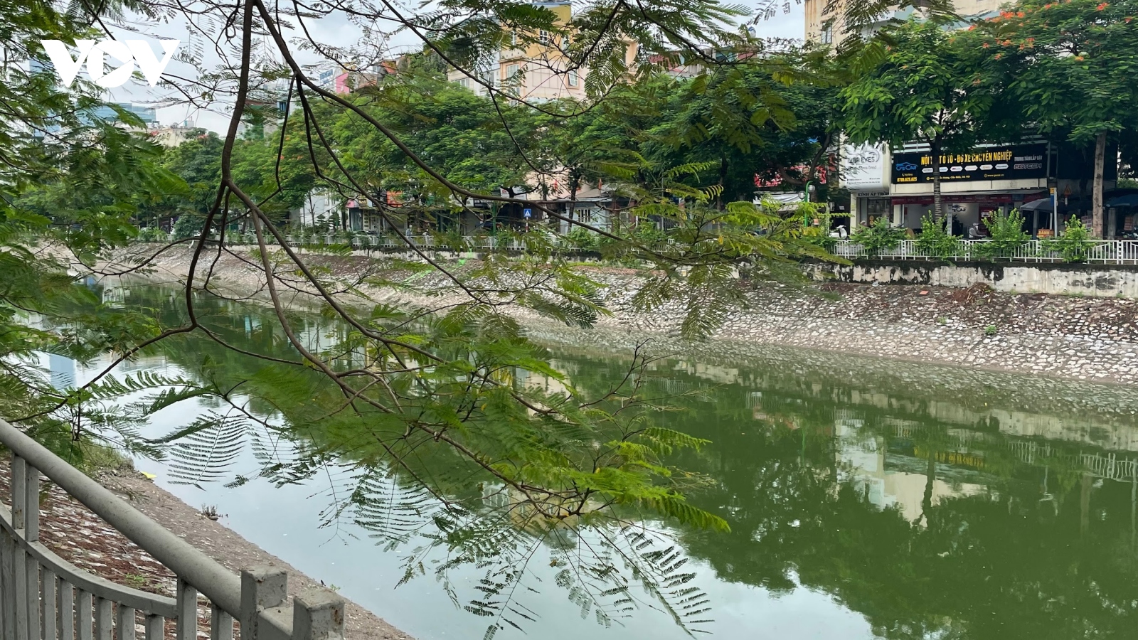 Người Hà Nội ngỡ ngàng khi nước sông Tô Lịch chuyển màu xanh