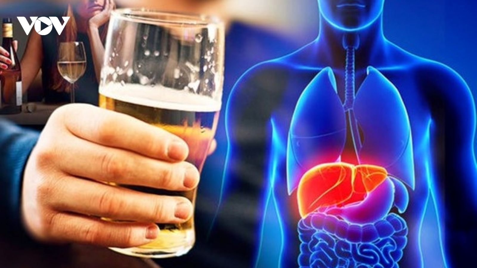 Uống bia mỗi ngày, cơ thể bạn sẽ biến đổi thế nào?