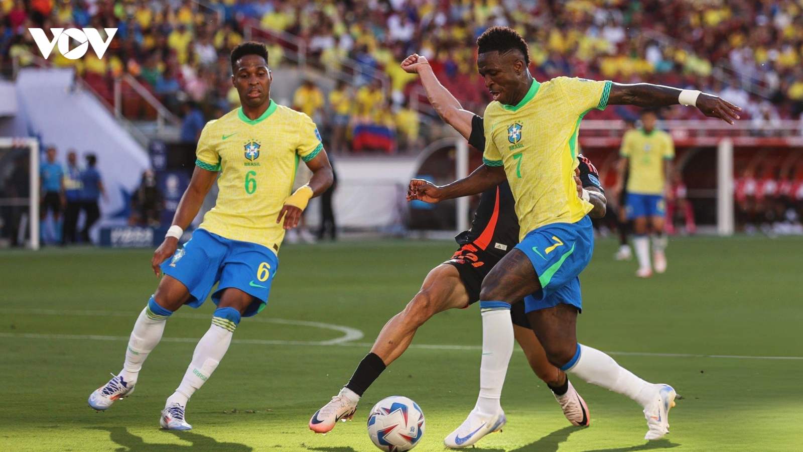ĐT Brazil nhận tin dữ trước tứ kết Copa America 2024