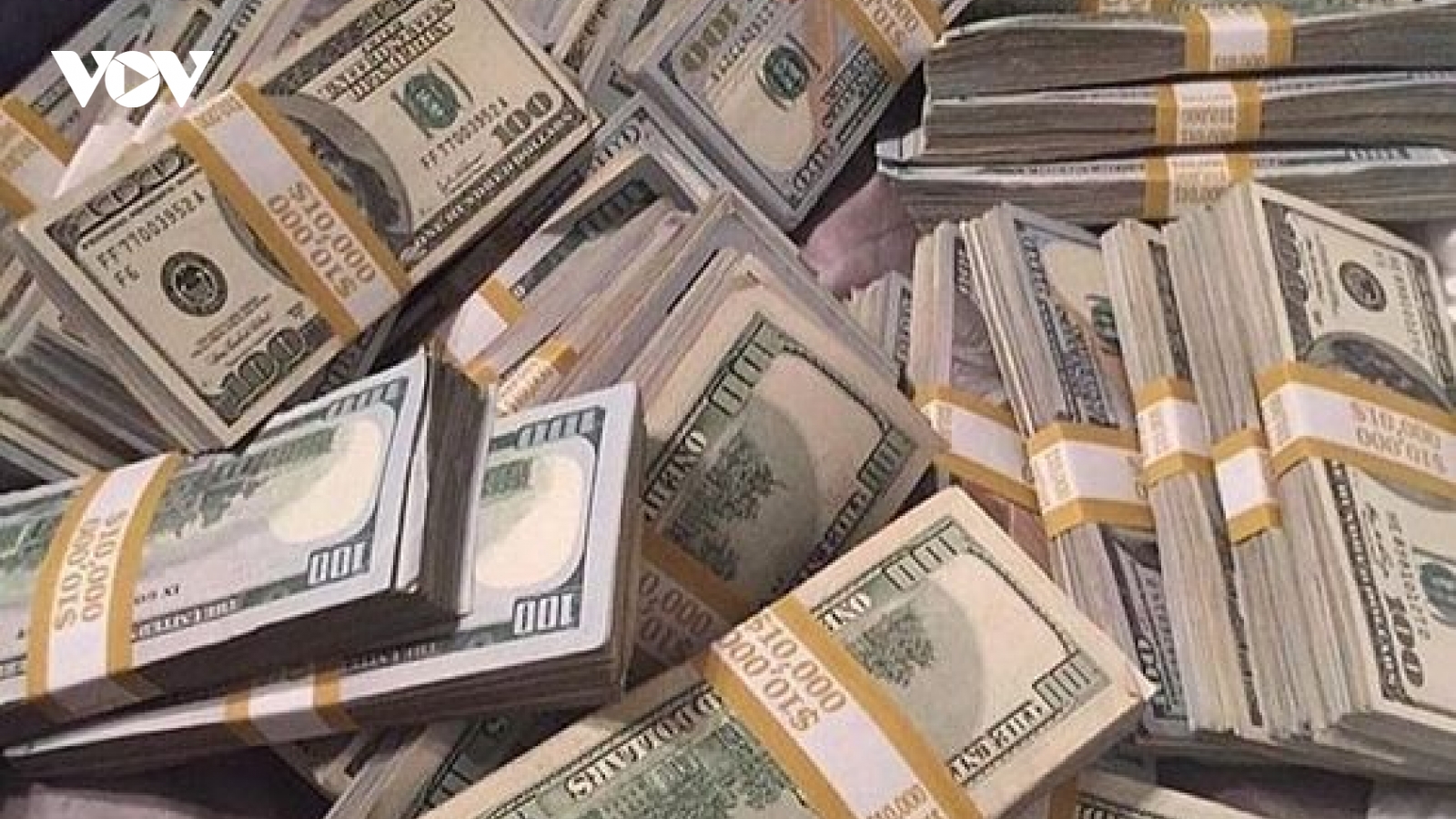 Tỷ giá USD hôm nay 13/8: Tỷ giá trung tâm giữ nguyên mức 24.256 đồng/USD