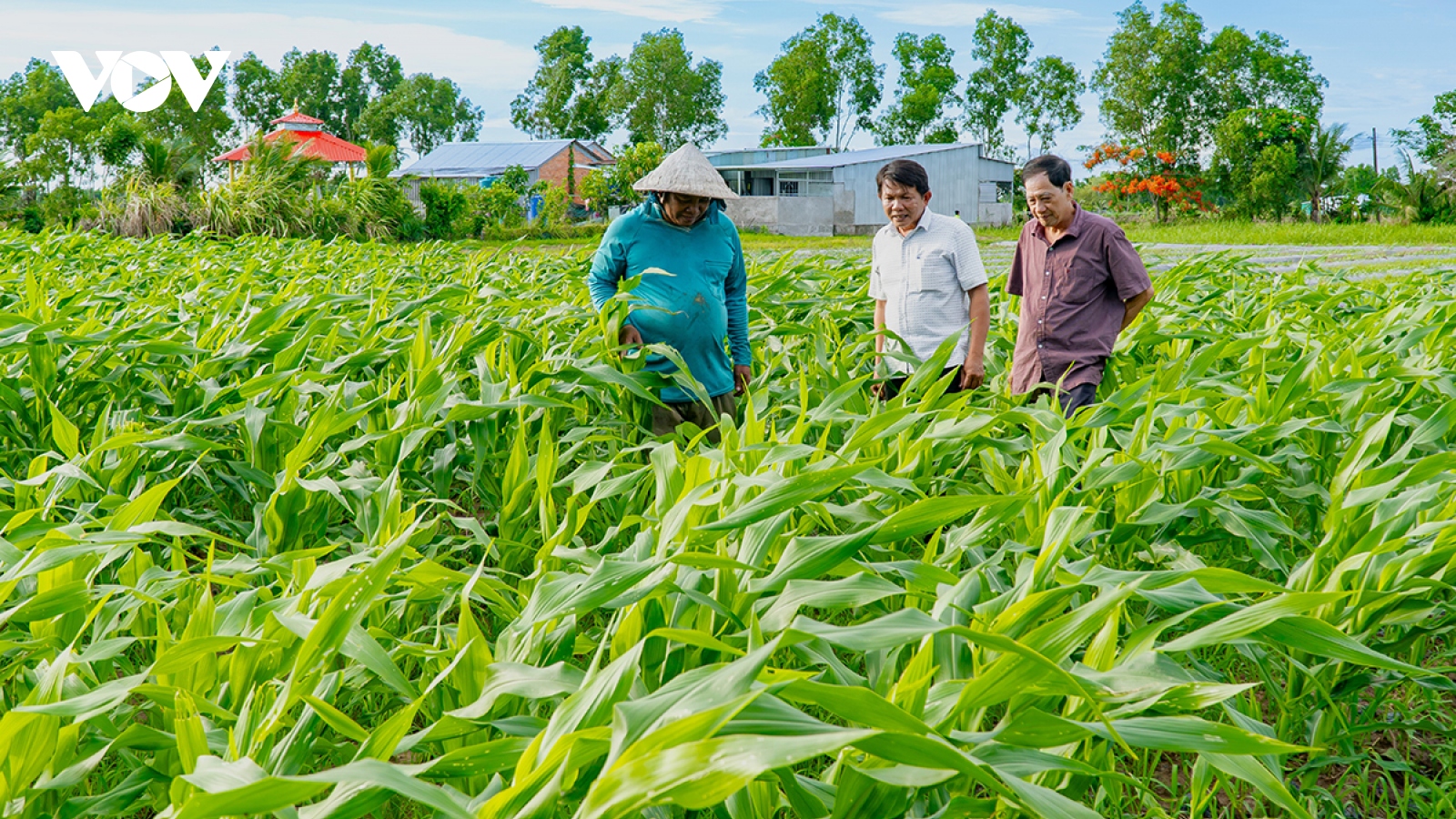 Cà Mau phát huy hiệu quả nguồn vốn giảm nghèo