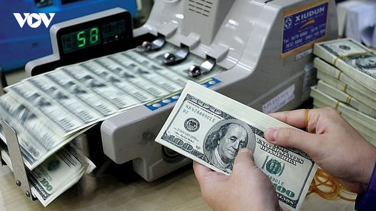 Tỷ giá USD hôm nay 21/8: Tỷ giá trung tâm giảm về mức 24.246 đồng/USD