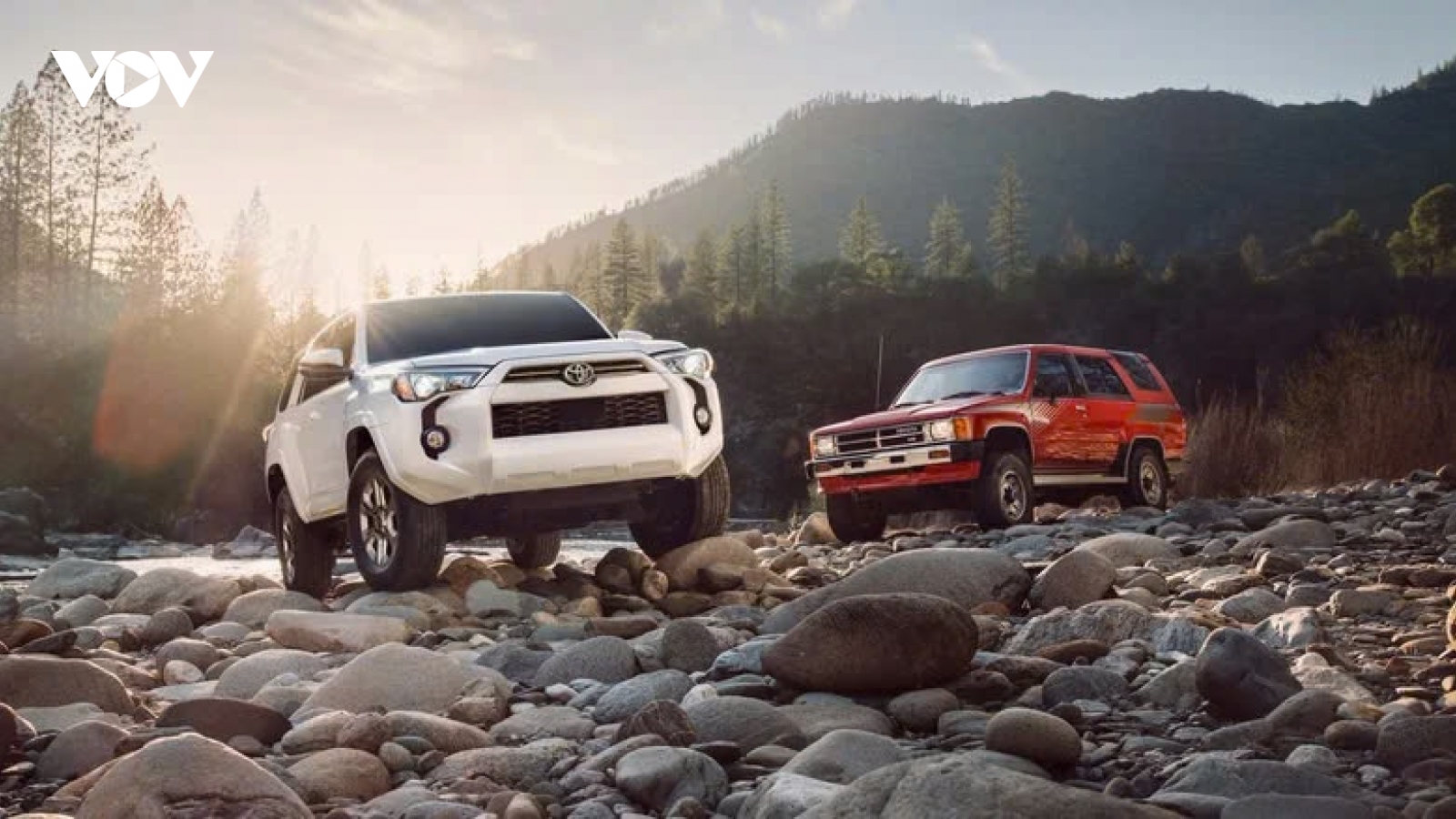 Ý nghĩa của thuật ngữ viết tắt SUV