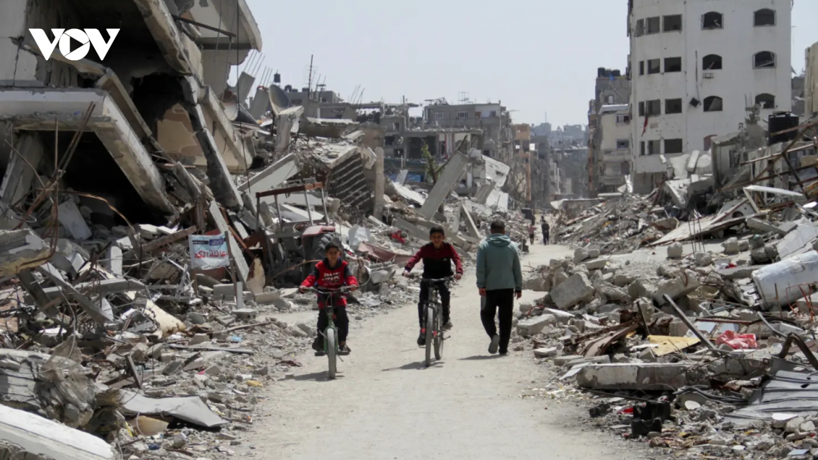 Xung đột kéo dài làm tê liệt ngành nông nghiệp và sinh kế của người dân Gaza