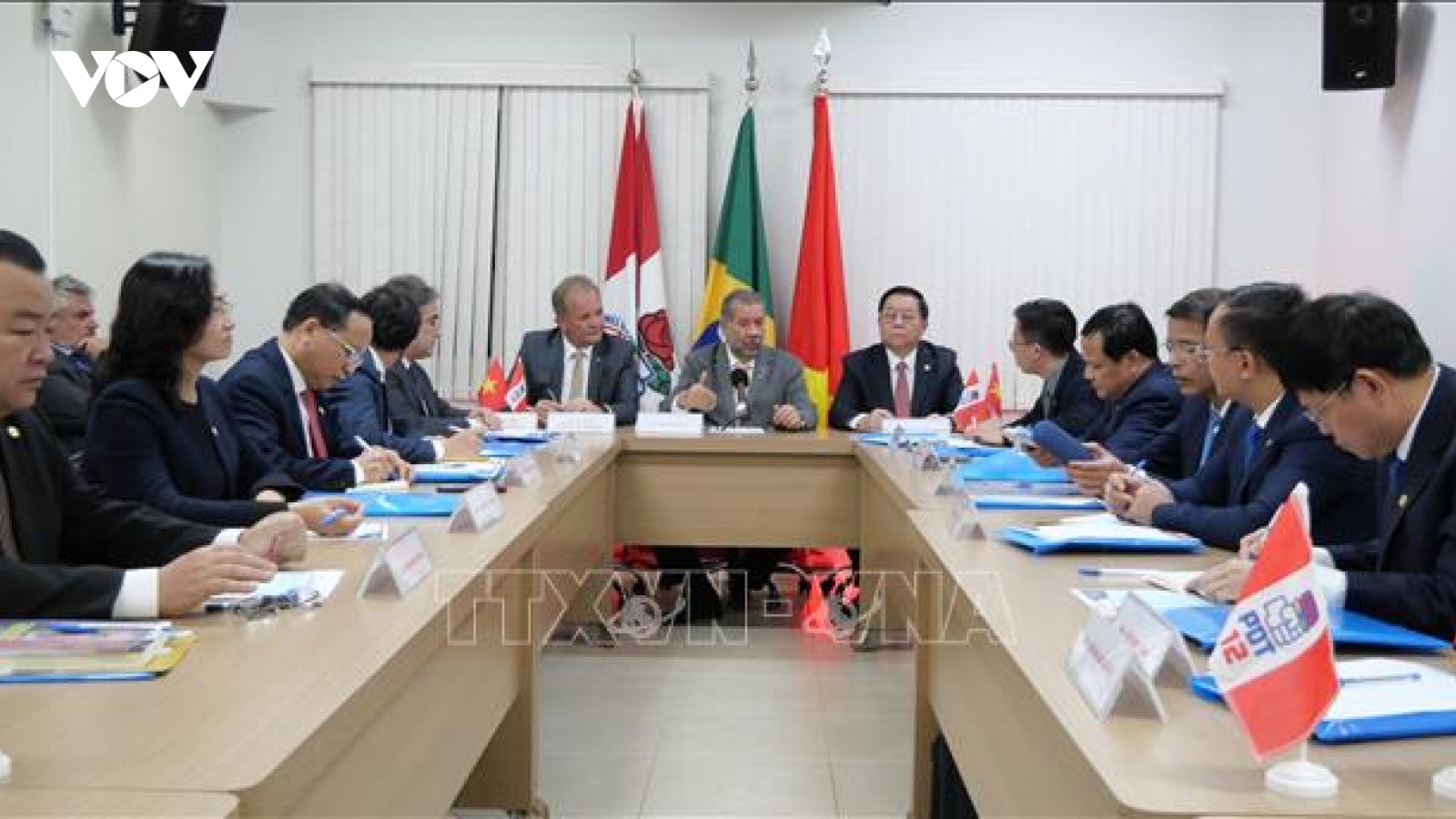 Thúc đẩy quan hệ Việt Nam - Brazil phát triển lên tầm cao mới