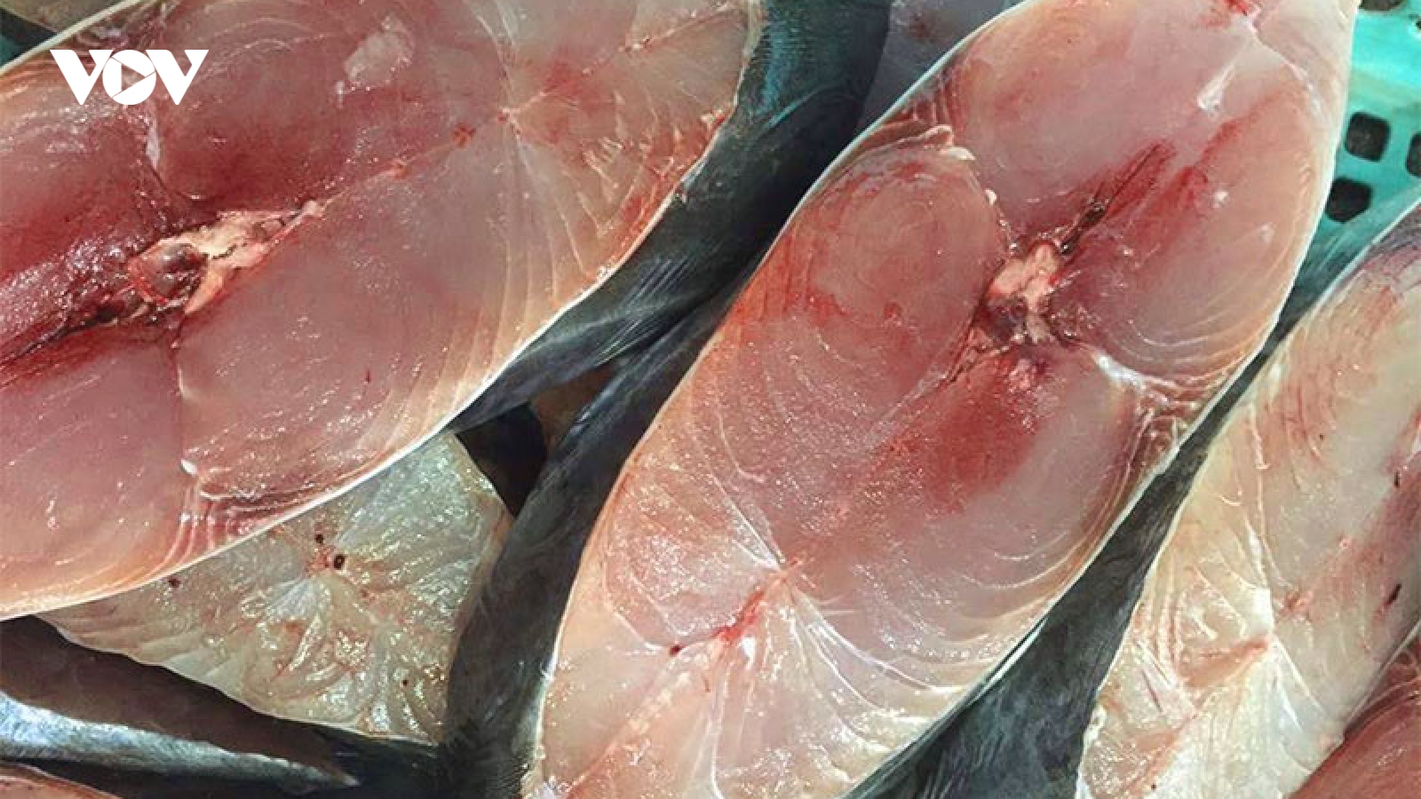 Loại cá giàu Omega-3 hơn cá hồi, cực sẵn ở Việt Nam vẫn bị nhiều người ngó lơ