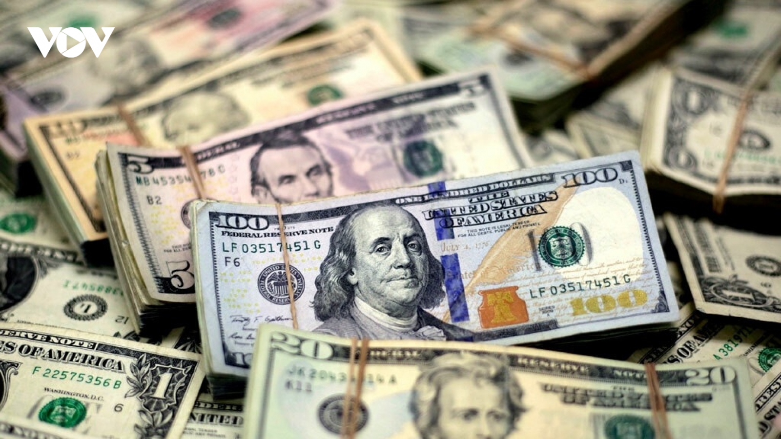 Tỷ giá USD hôm nay 17/8: Tỷ giá trung tâm tạm dừng ở mốc 24.254 đồng/USD