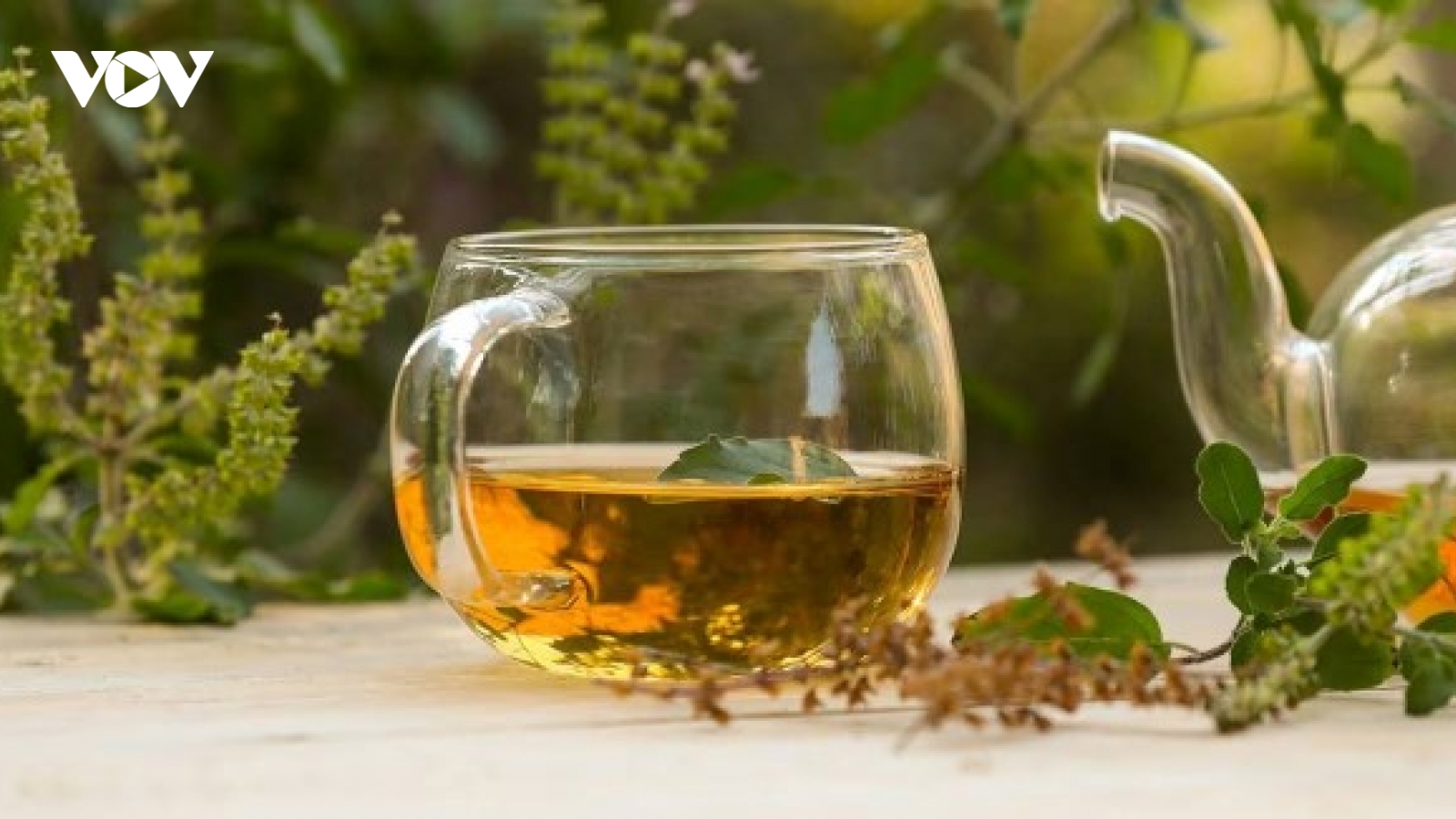 Loại rau thơm hóa “thần dược” có thể dùng pha trà nhưng không phải ai cũng biết