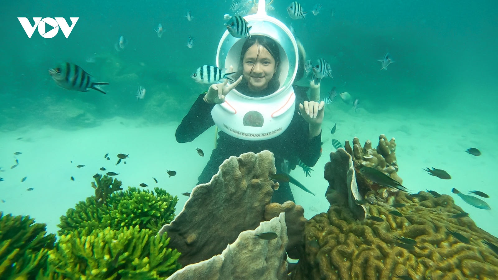 Nha Trang listed among top five Asian destinations for diving