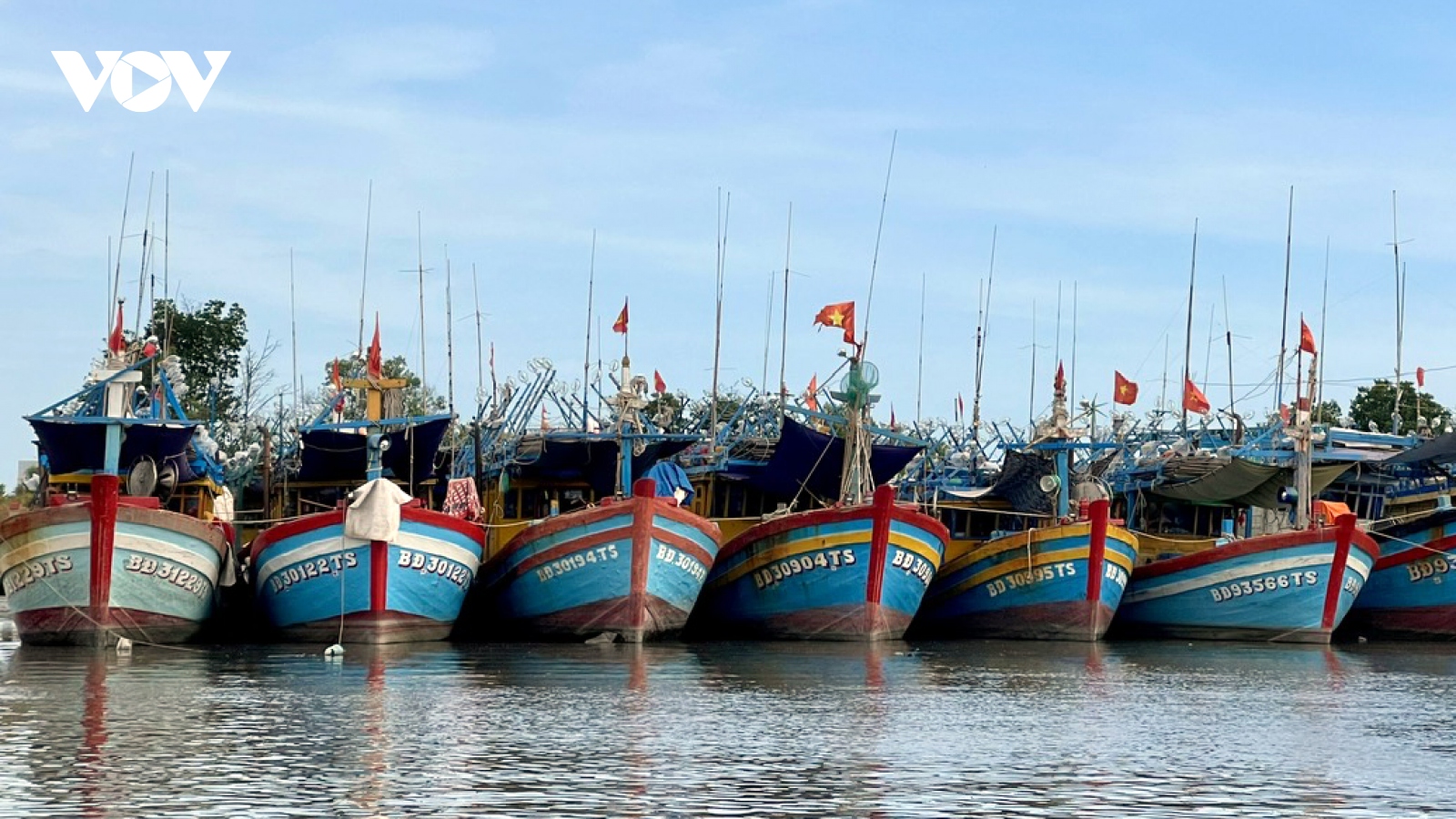 Bà Rịa-Vũng Tàu hỗ trợ ngư dân ghi nhật ký khai thác thủy sản qua app eCDT