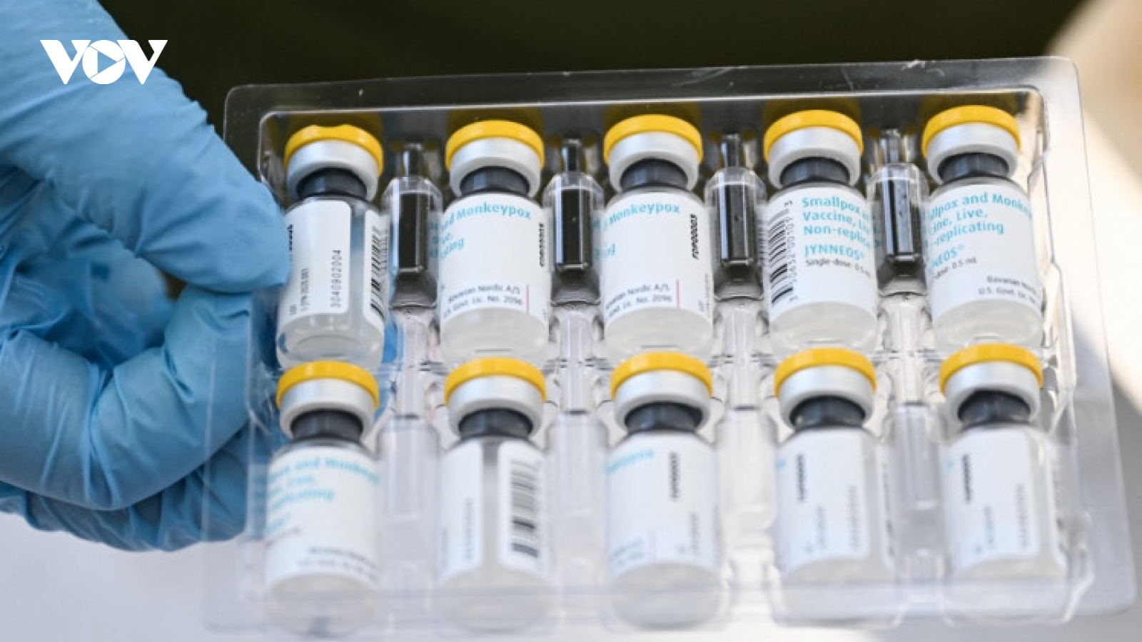 Indonesia chuẩn bị vaccine phòng bệnh đậu mùa khỉ