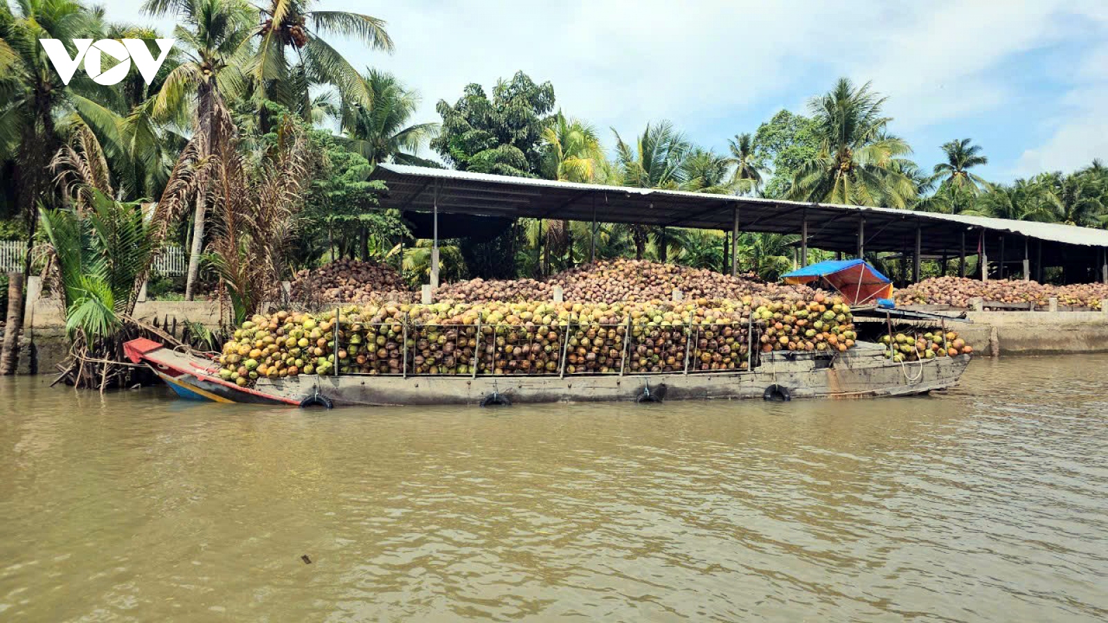 Giá nhiều loại trái cây ở Tiền Giang và Bến Tre tăng cao do thiếu nguồn cung