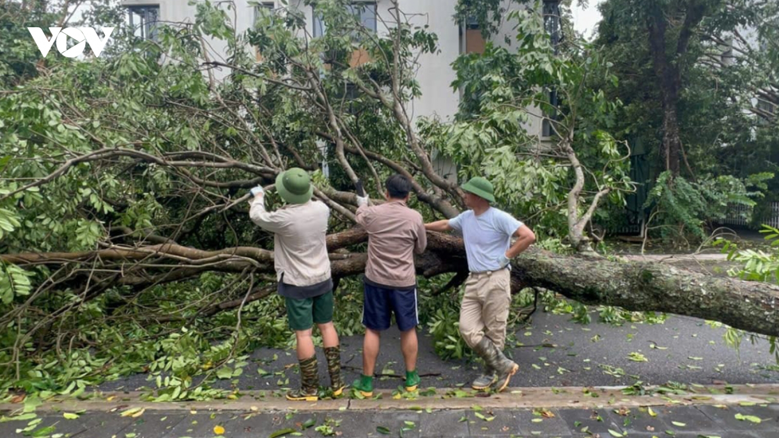 Sao Việt 9/9: Xuân Bắc cùng hai con dọn cây đổ sau bão