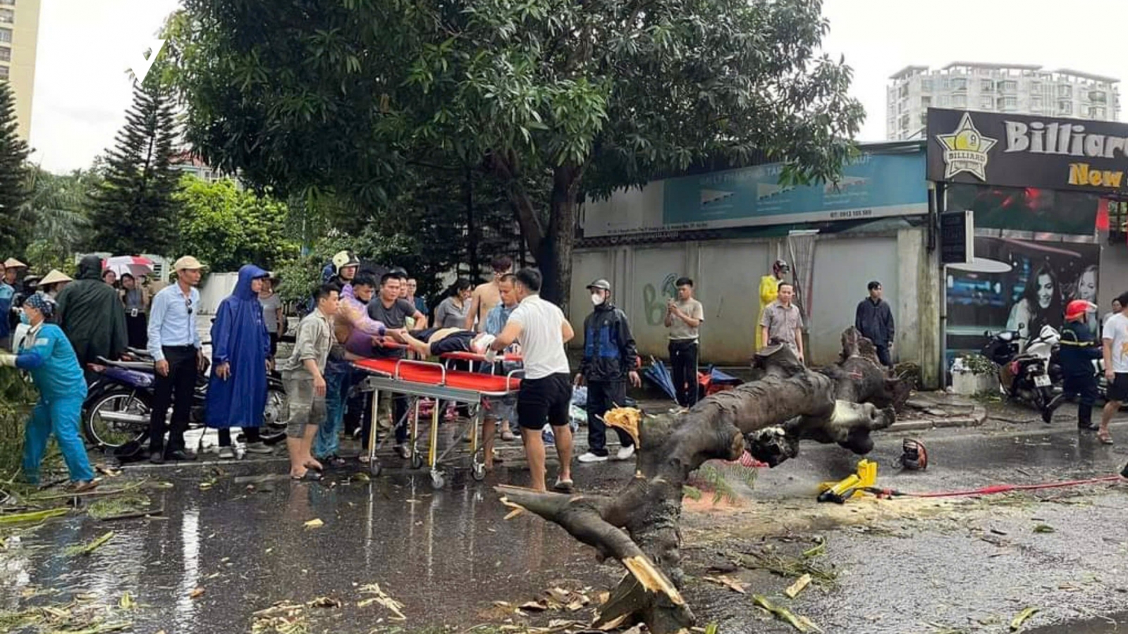 Ảnh hưởng bão số 3, Hà Nội có 1 người tử vong, 6 người bị thương do cây đổ