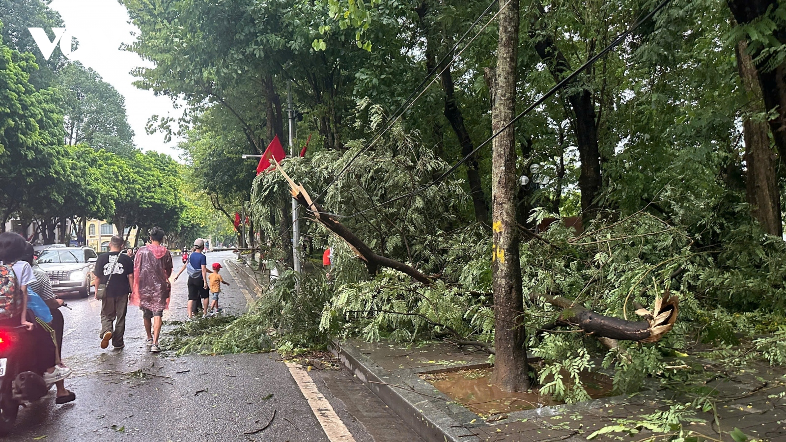 Trực tiếp: Siêu bão gây mưa lớn ở Hà Nội, cây đổ đè chết người