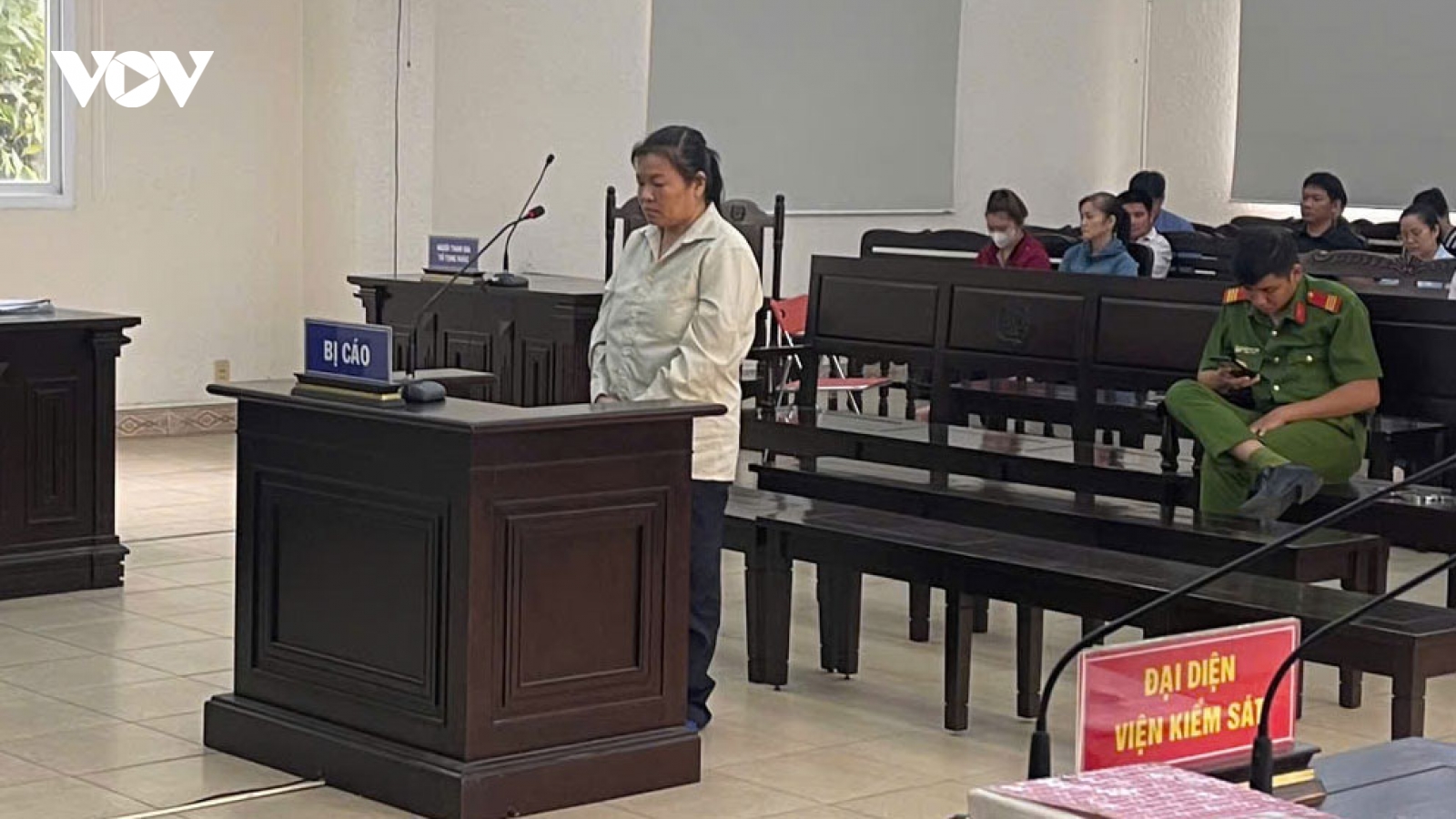 Nữ “cò đất” ở Bình Dương lừa đảo gần 76 tỷ đồng, lĩnh án chung thân