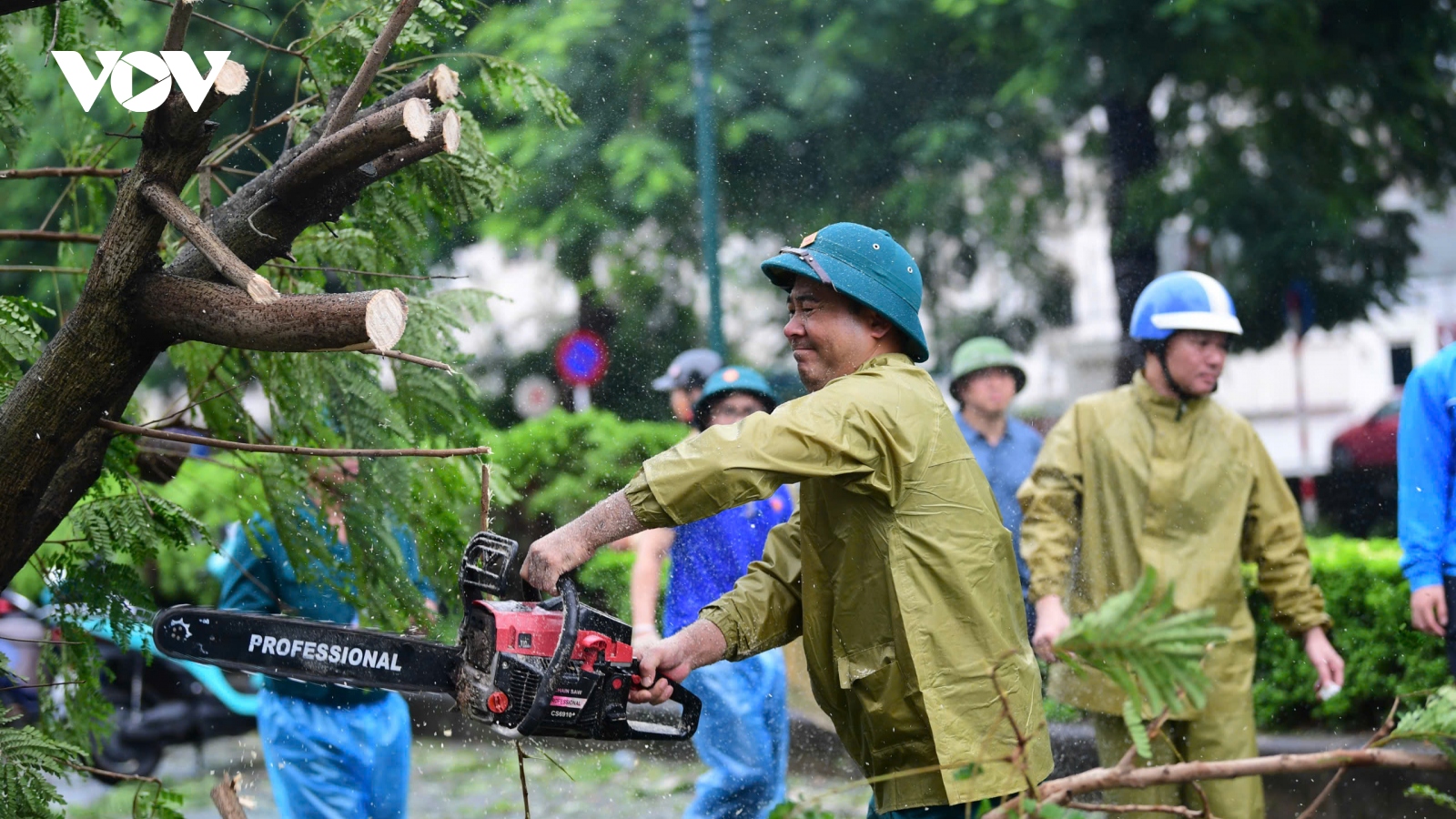 Trực tiếp bão số 3: Cây đổ la liệt khắp phố, Hà Nội và các địa phương khẩn trương thu dọn