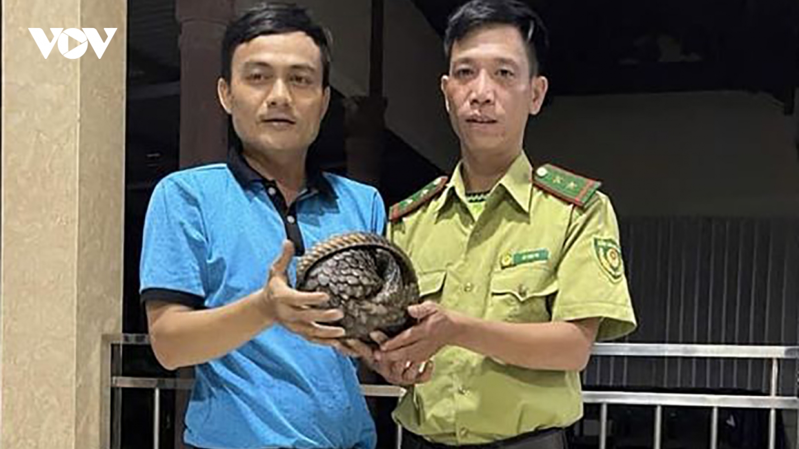 Người dân Thừa Thiên Huế giao nộp nhiều động vật rừng quý hiếm