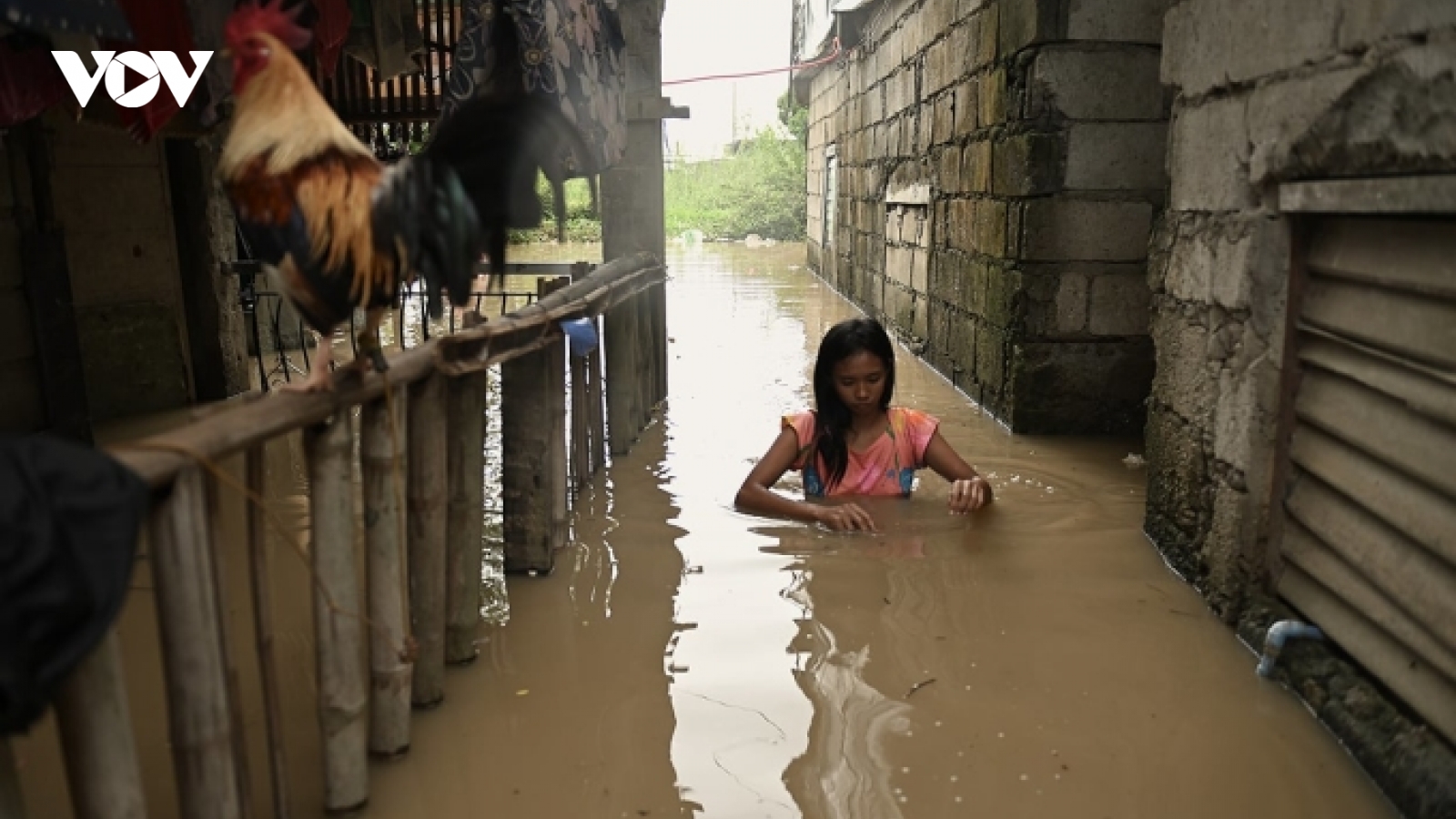 Philippines tìm kiếm 15 ngư dân mất tích trên biển do bão Yagi