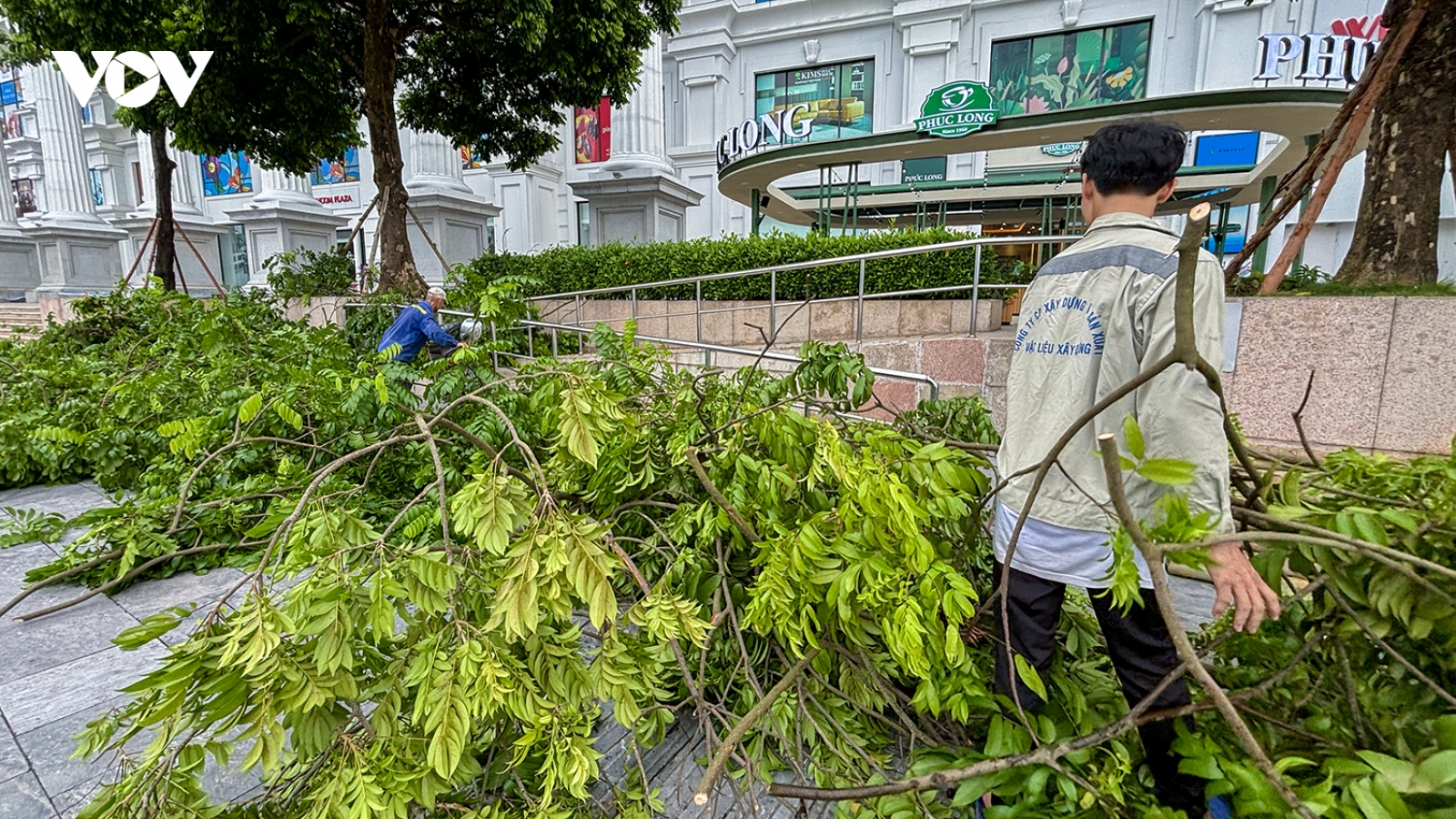 Hạ Long cắt tỉa hàng loạt cây xanh, dựng bao cát chống lụt trước siêu bão