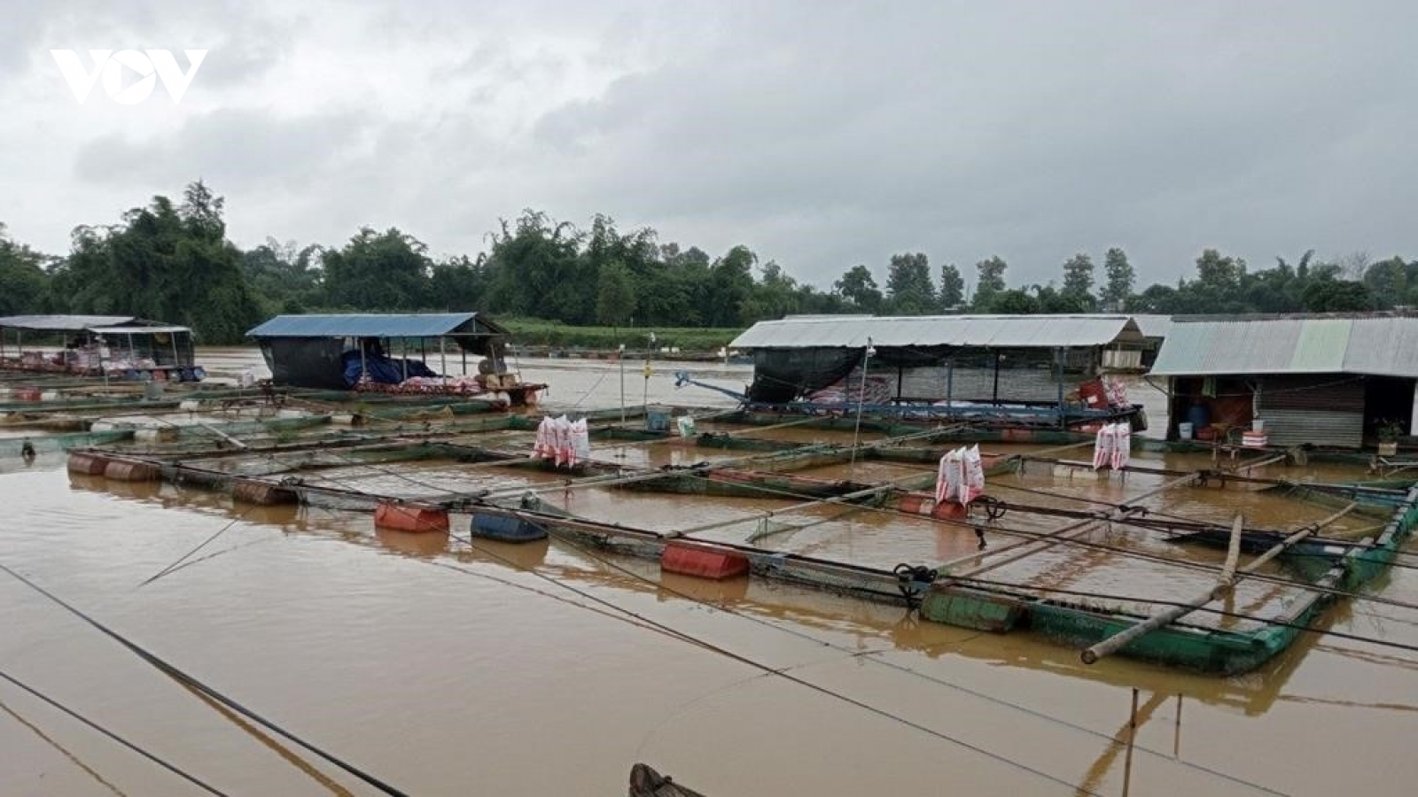 Cảnh báo lũ trên hệ thống sông Đồng Nai