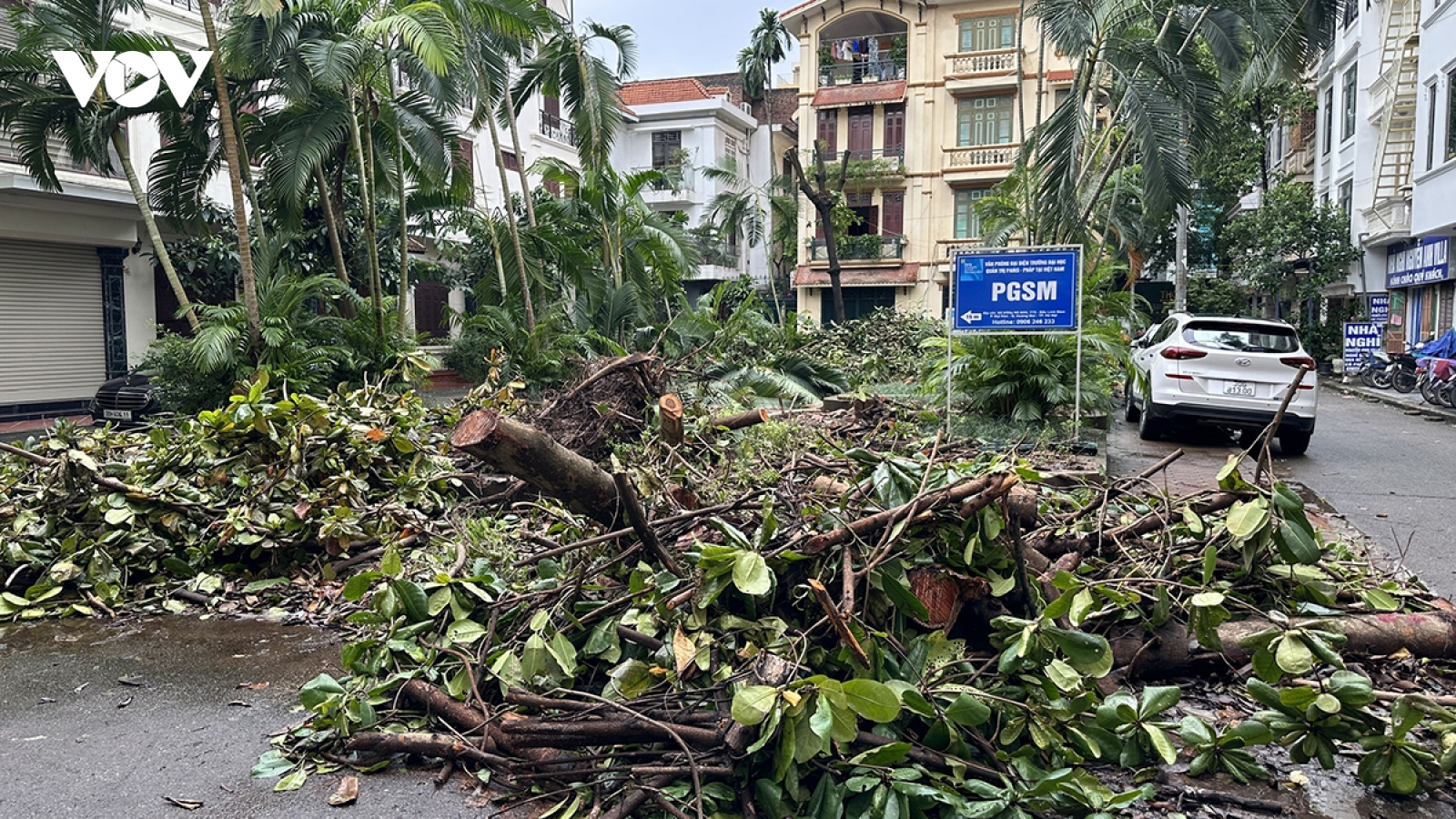 Hai tuần sau bão số 3, nhiều tuyến phố, khu đô thị ở Hà Nội vẫn ngổn ngang cây bật gốc