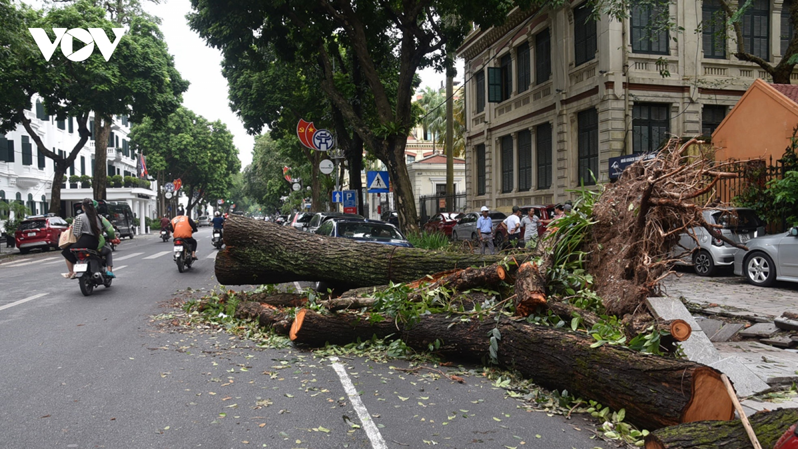 Cây xanh gãy đổ vẫn ngổn ngang trên đường phố Hà Nội